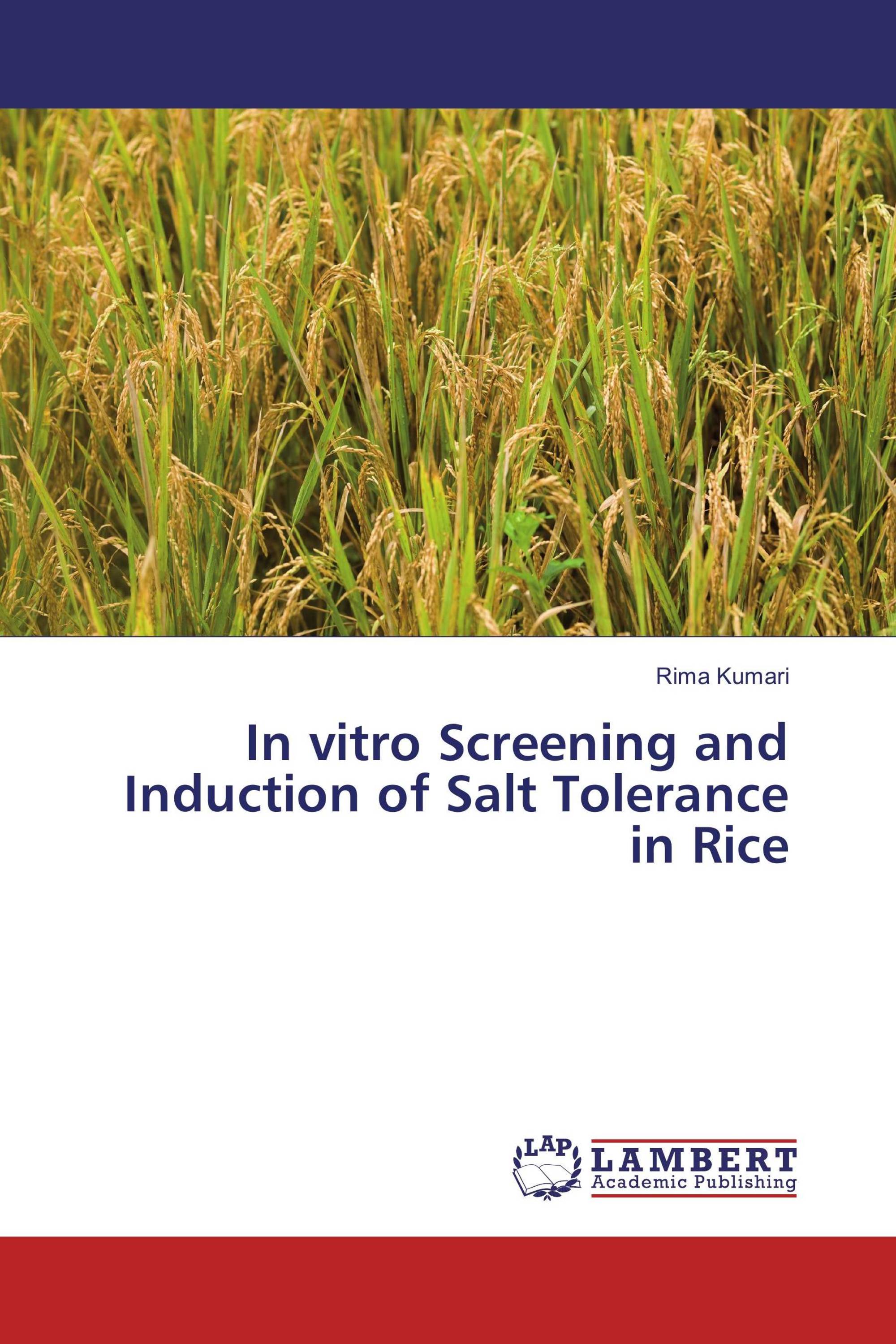 In vitro Screening and Induction of Salt Tolerance in Rice