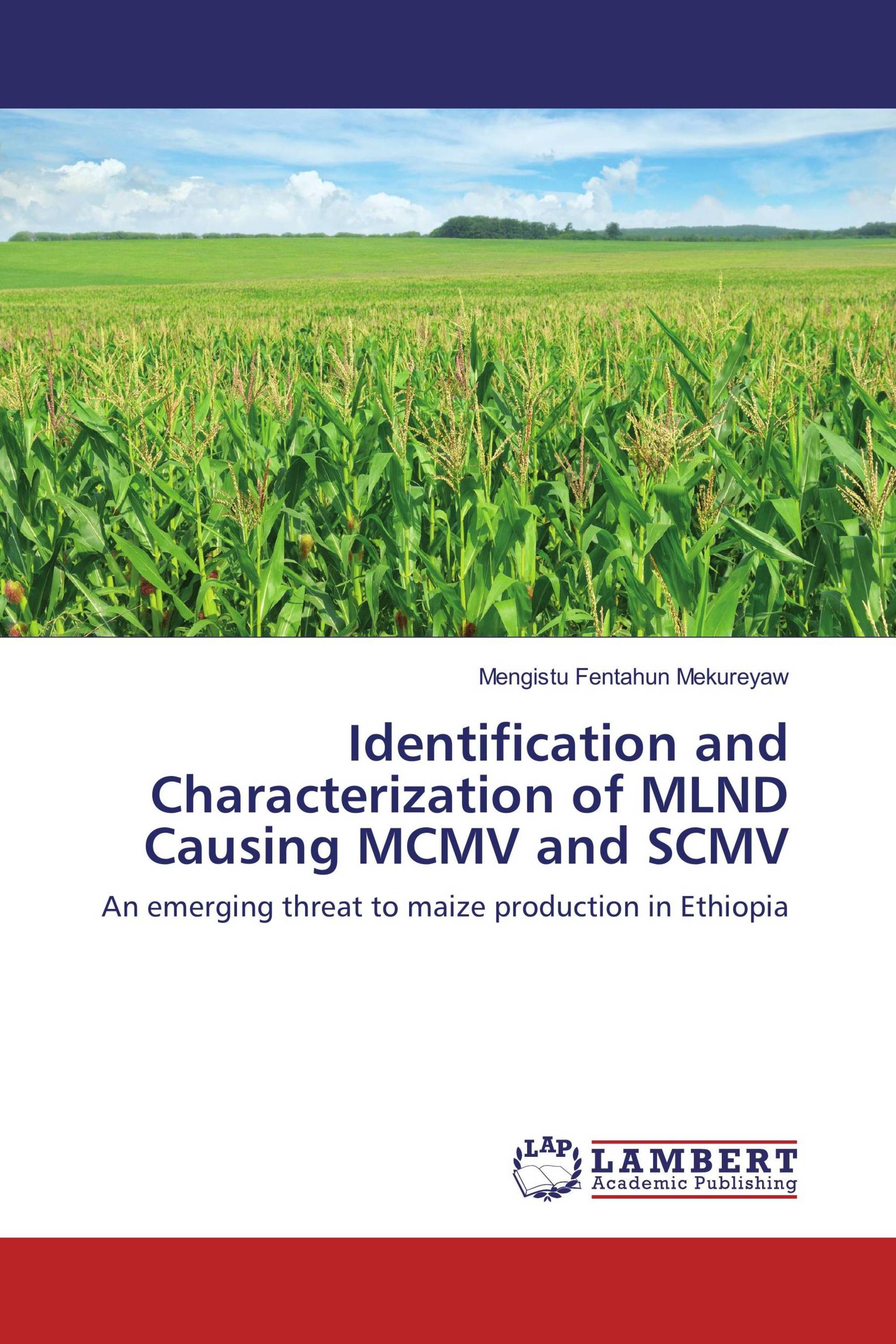 Identification and Characterization of MLND Causing MCMV and SCMV