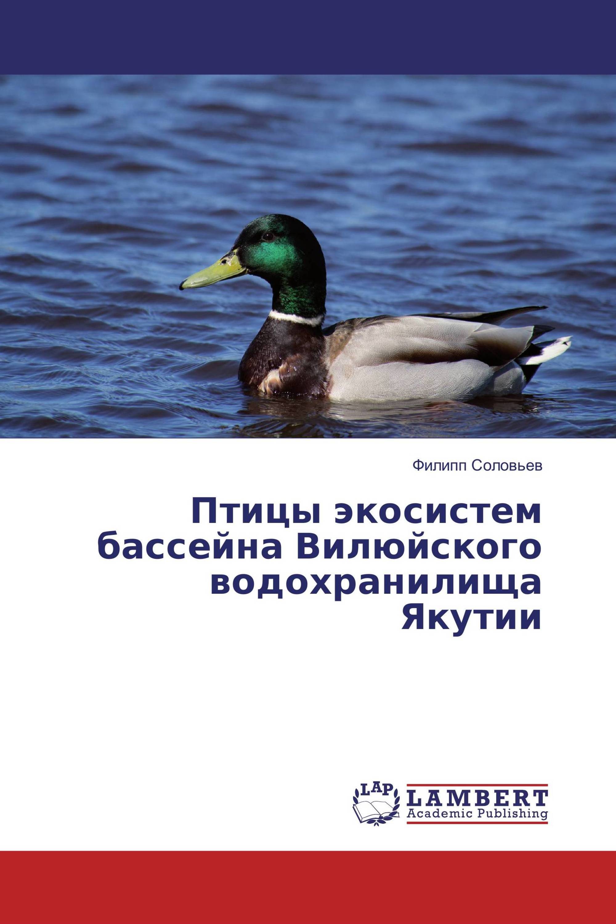 Птицы экосистем бассейна Вилюйского водохранилища Якутии