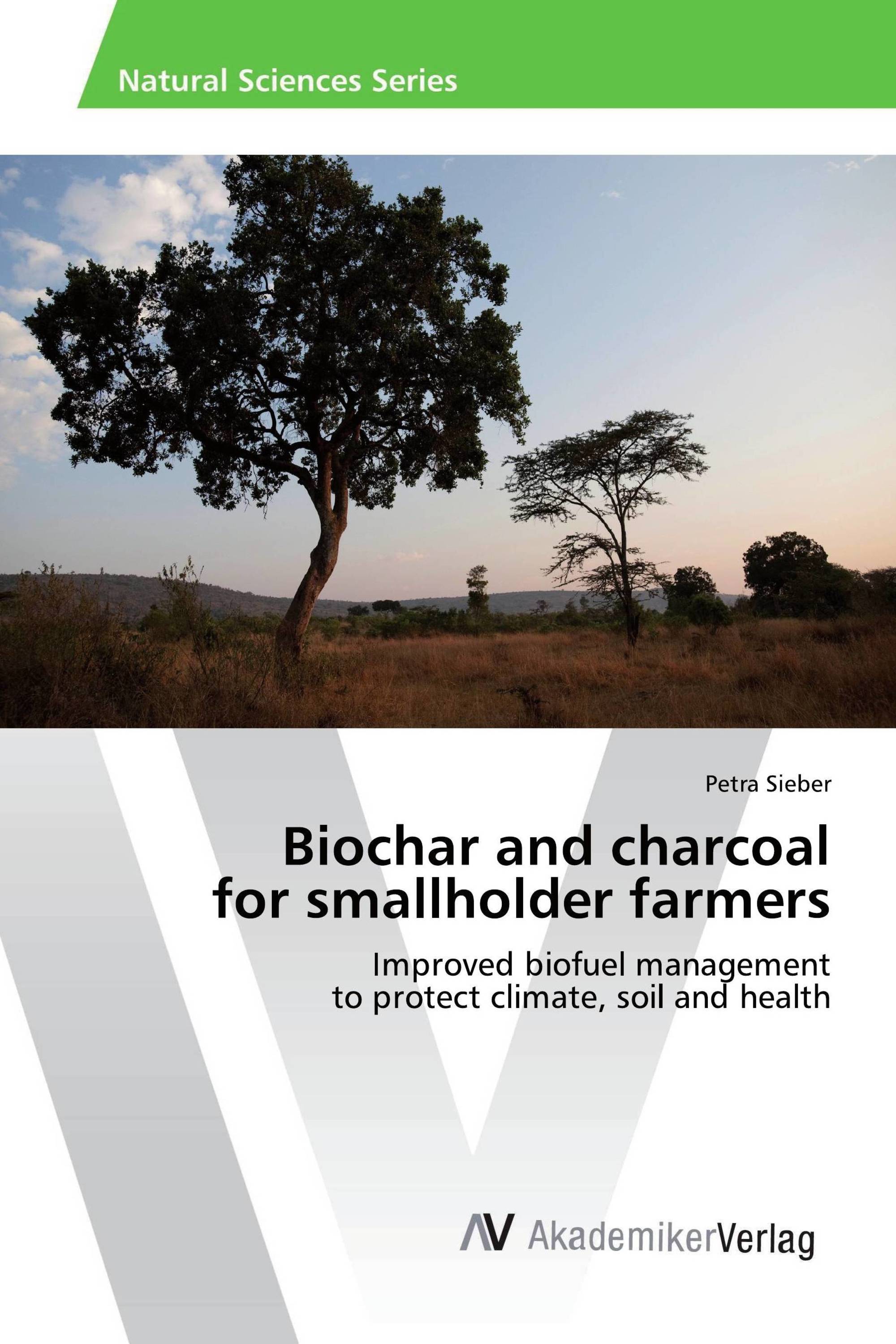 Biochar and charcoal for smallholder farmers