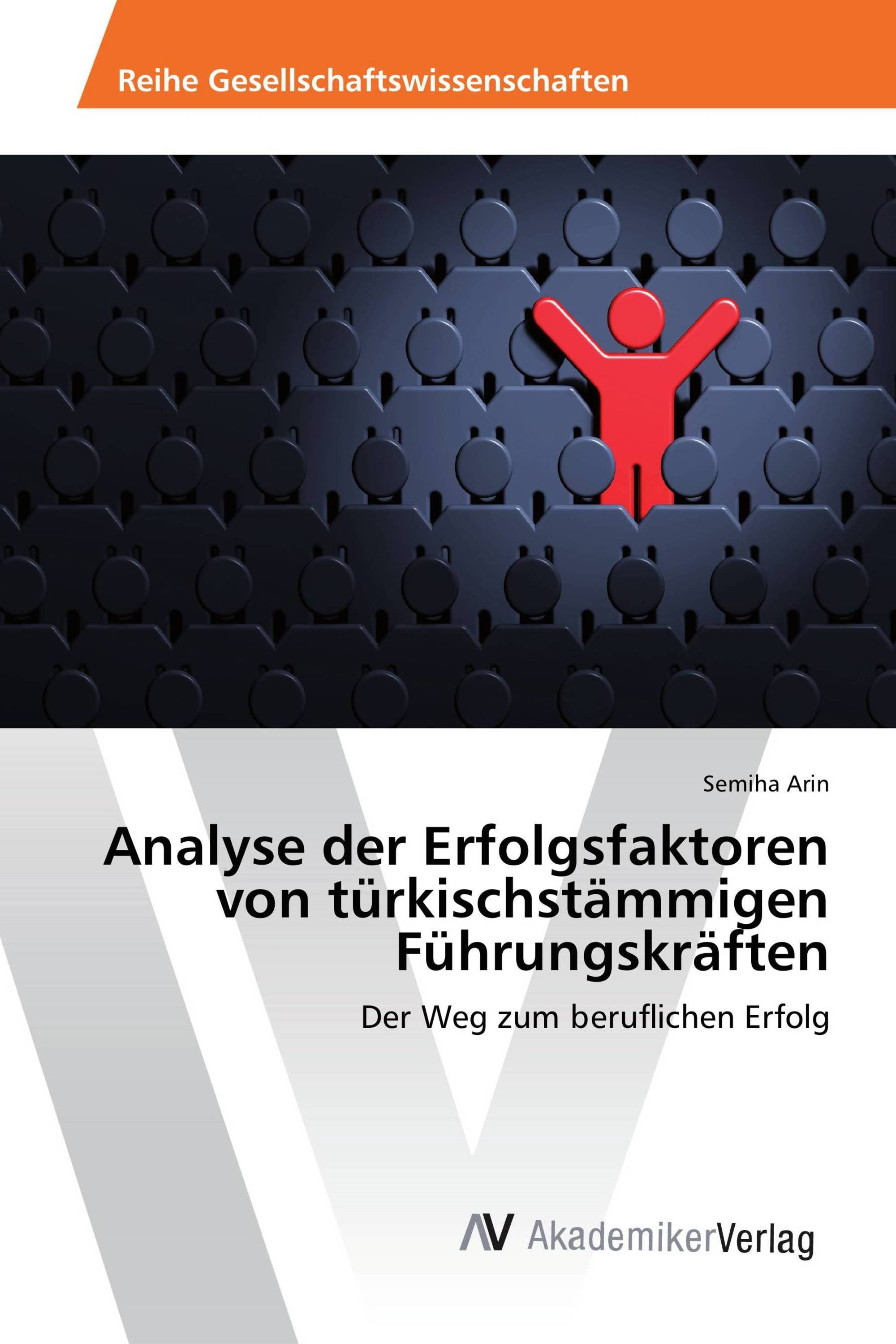 Analyse der Erfolgsfaktoren von türkischstämmigen Führungskräften