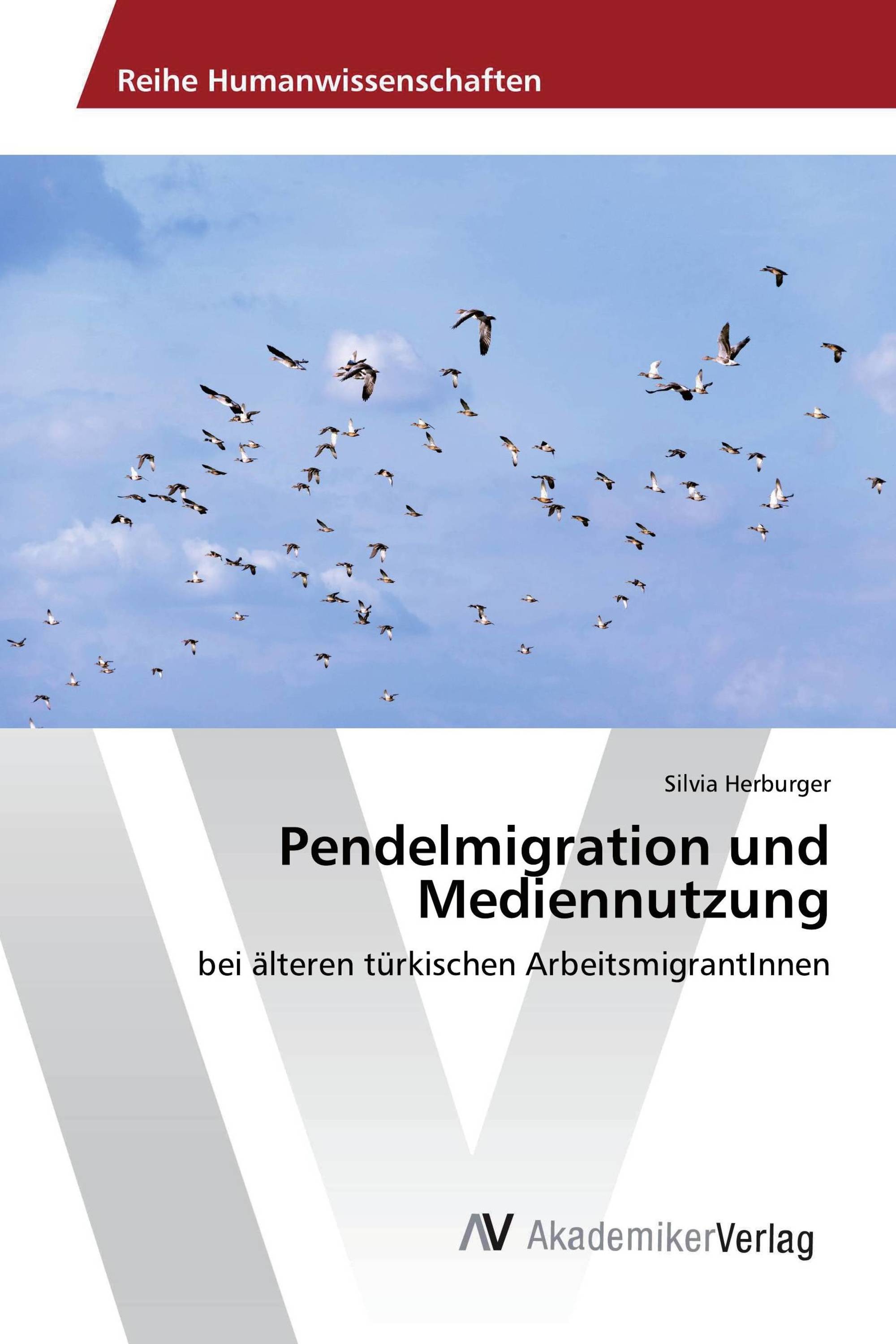 Pendelmigration und Mediennutzung