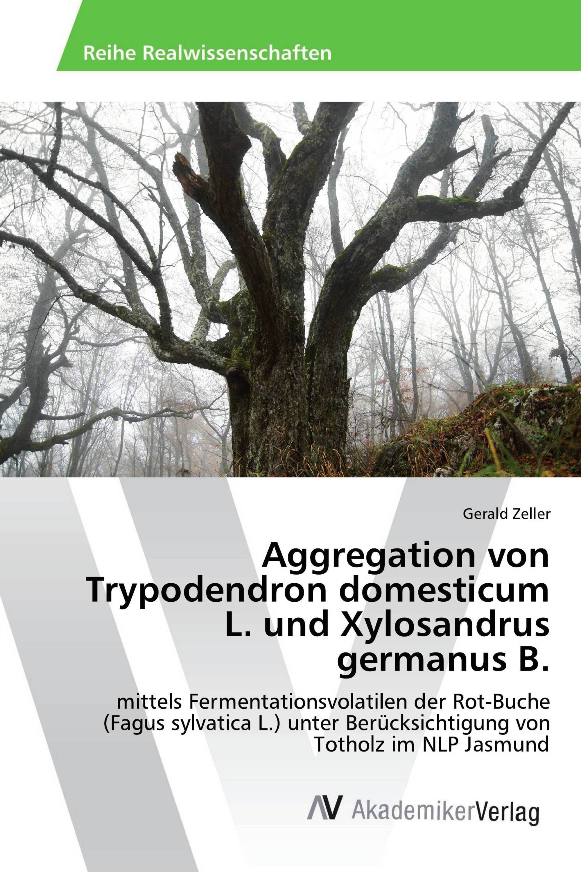 Aggregation von Trypodendron domesticum L. und Xylosandrus germanus B.