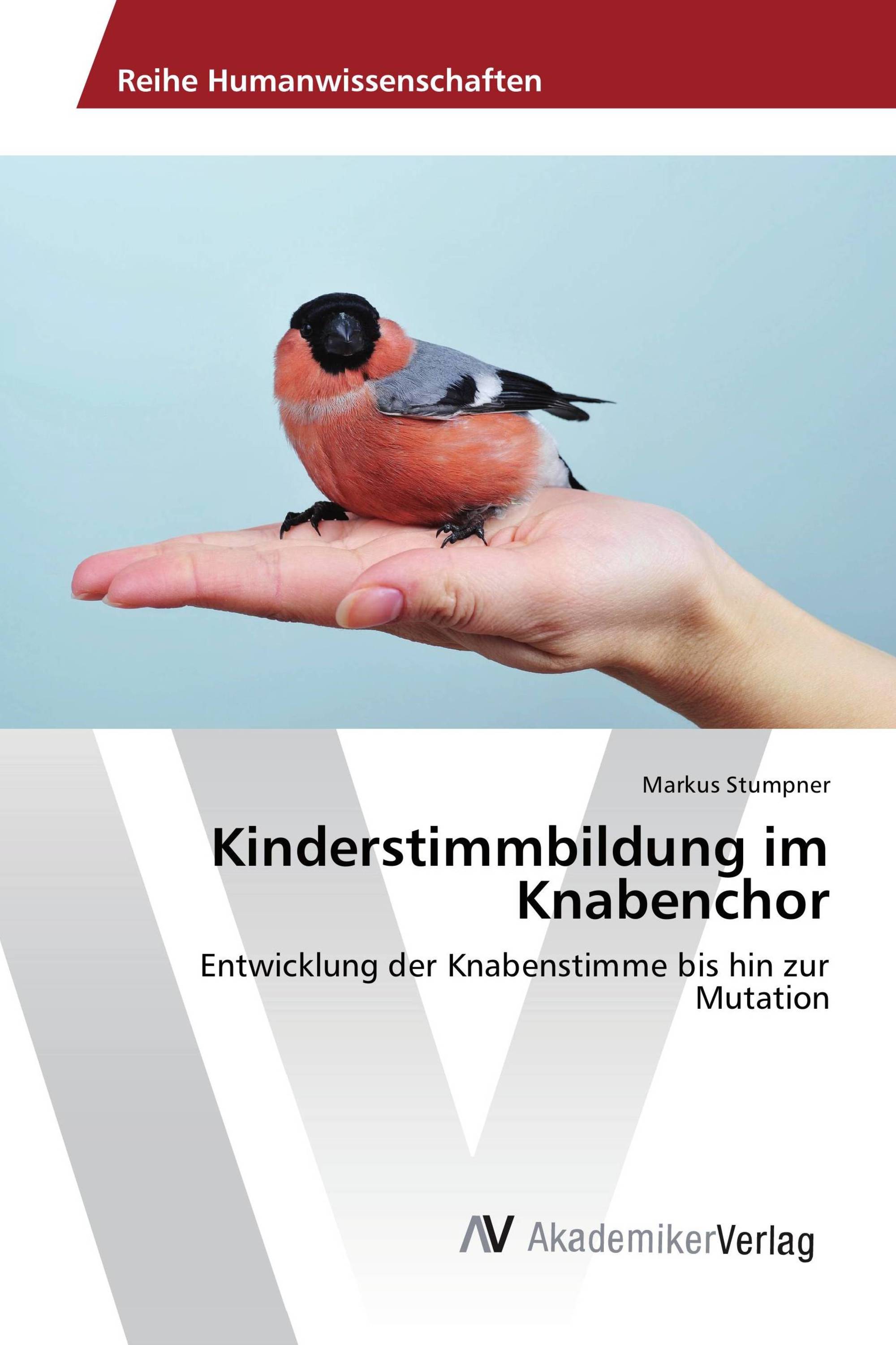 Kinderstimmbildung im Knabenchor