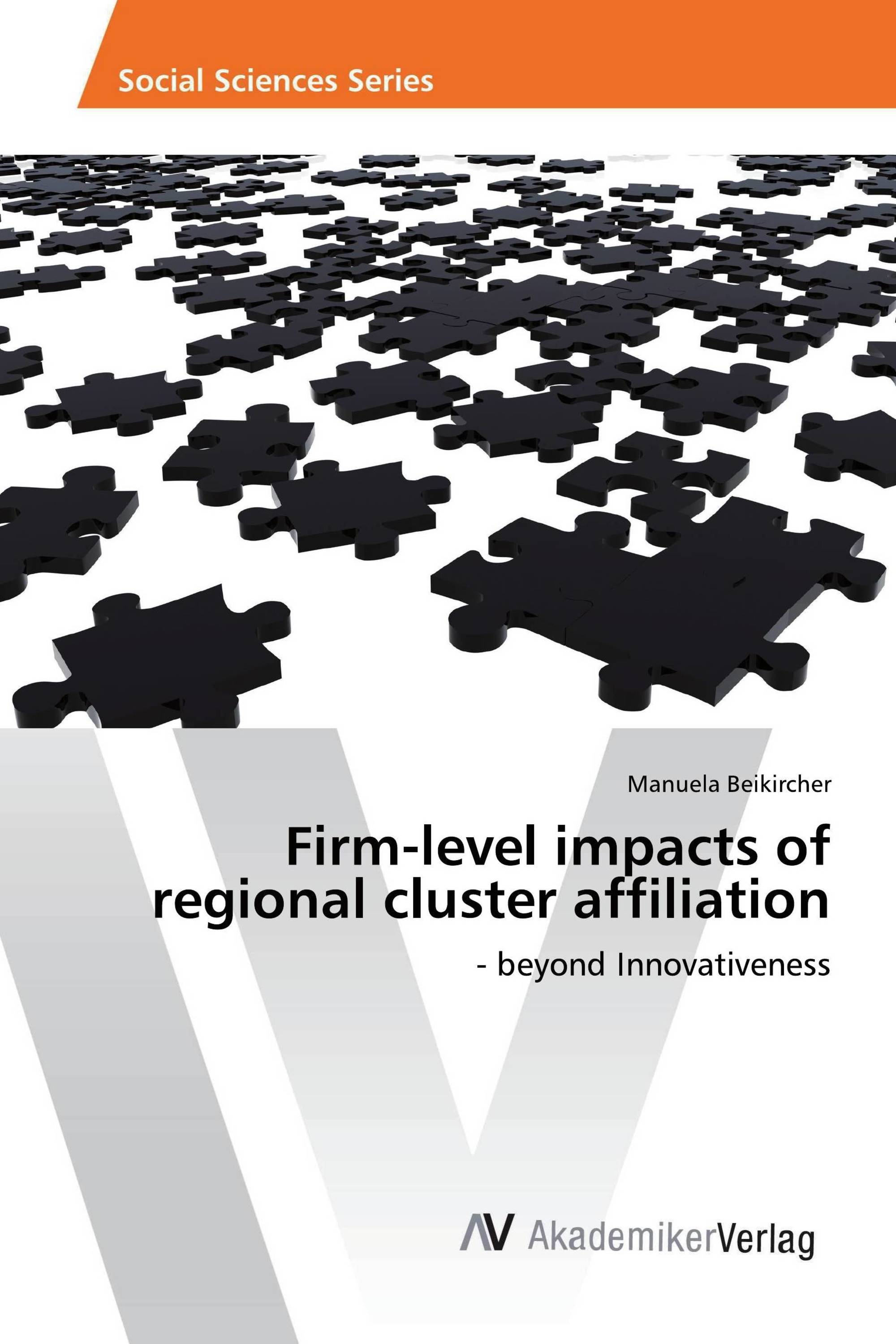 Firm-level impacts of regional cluster affiliation