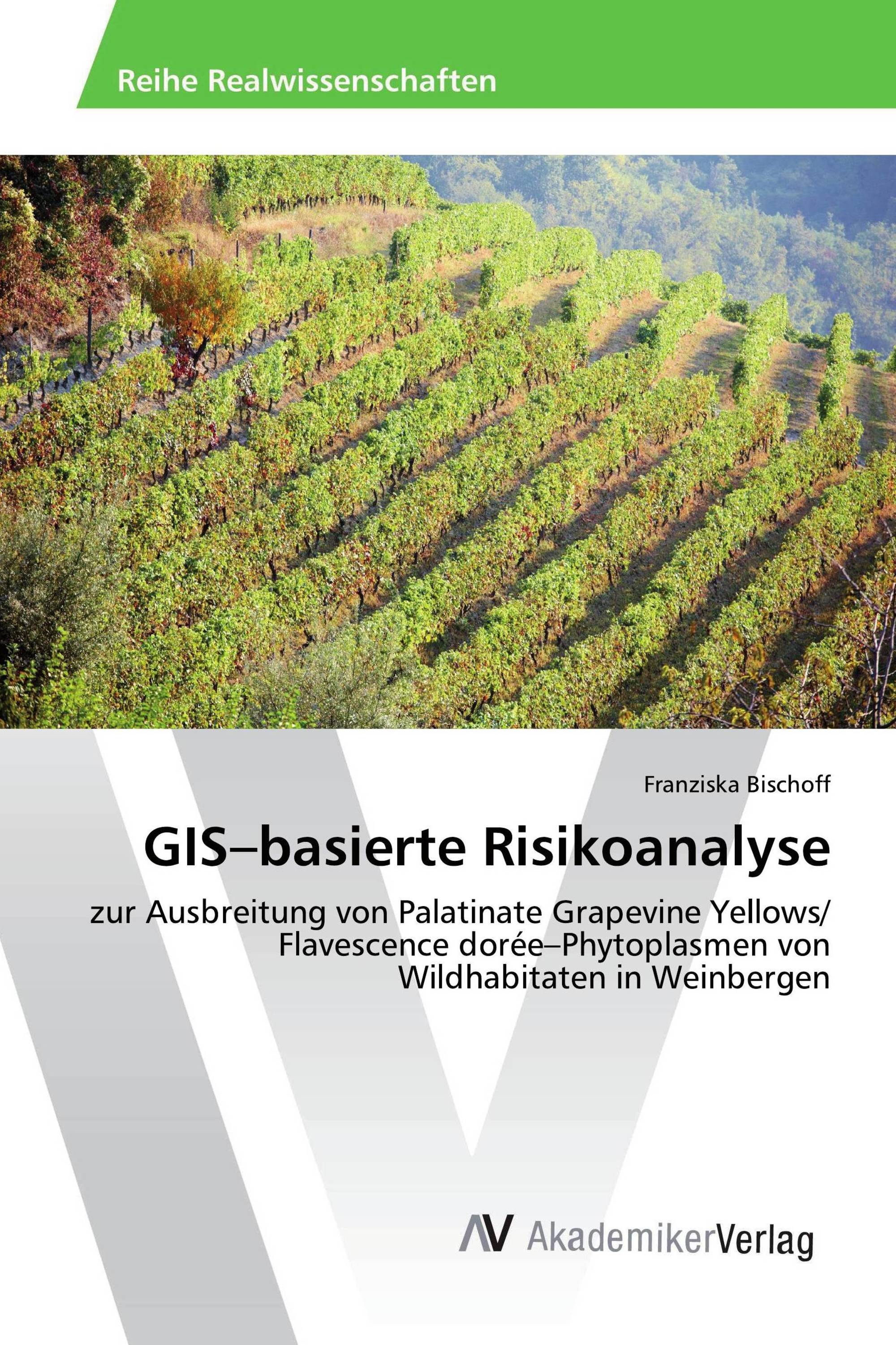 GIS–basierte Risikoanalyse