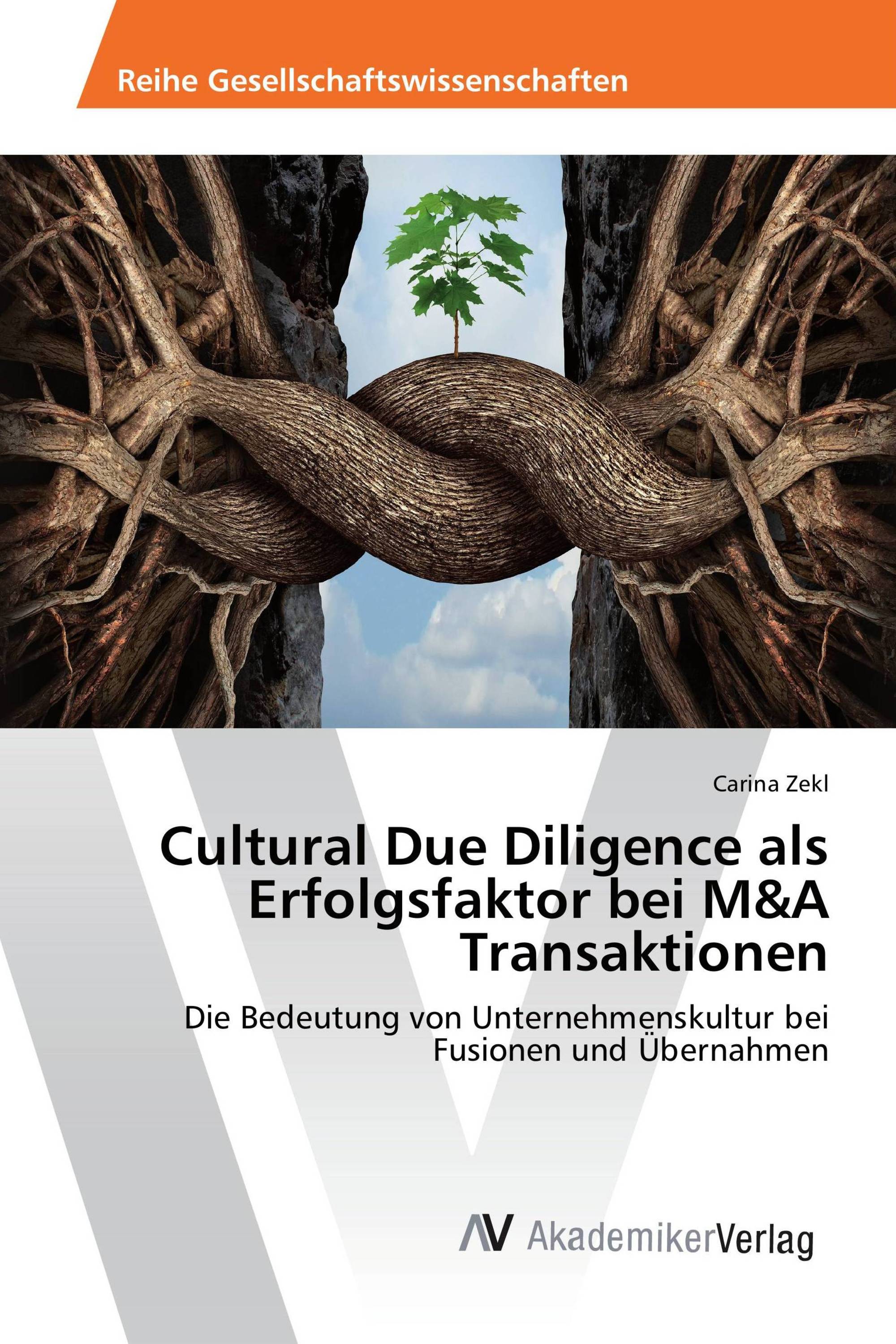 Cultural Due Diligence als Erfolgsfaktor bei M&A Transaktionen