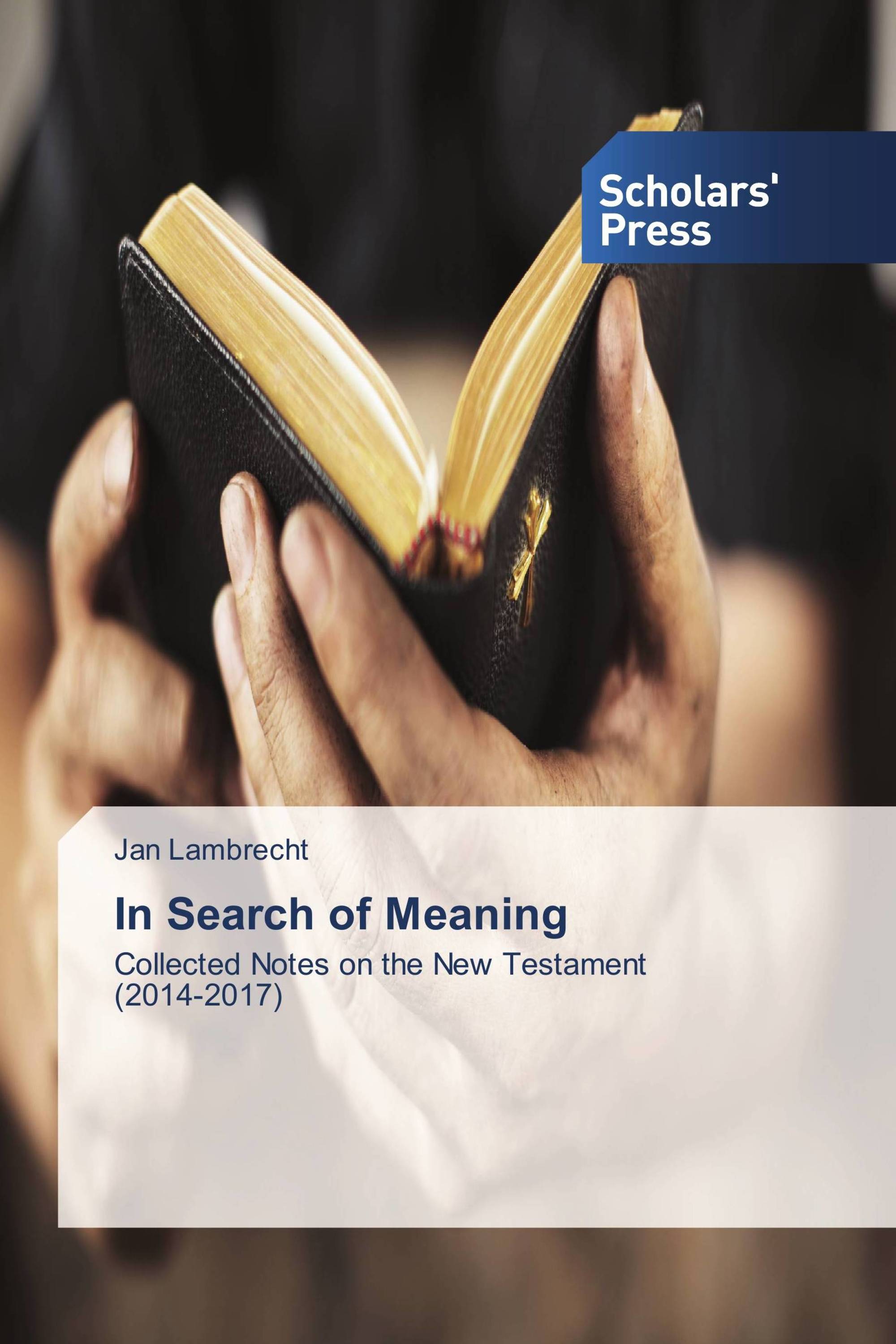 In Search of Meaning