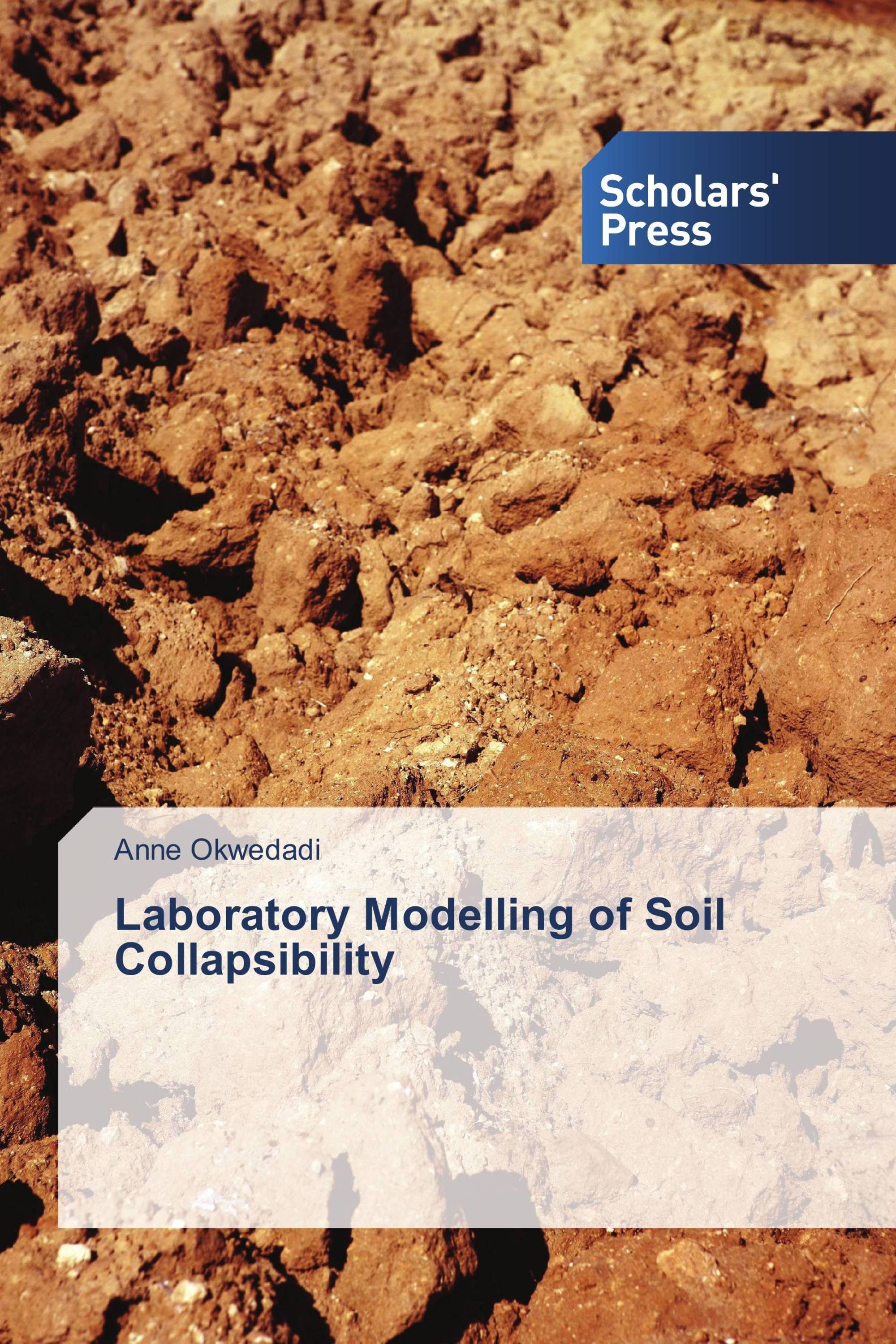 Laboratory Modelling of Soil Collapsibility