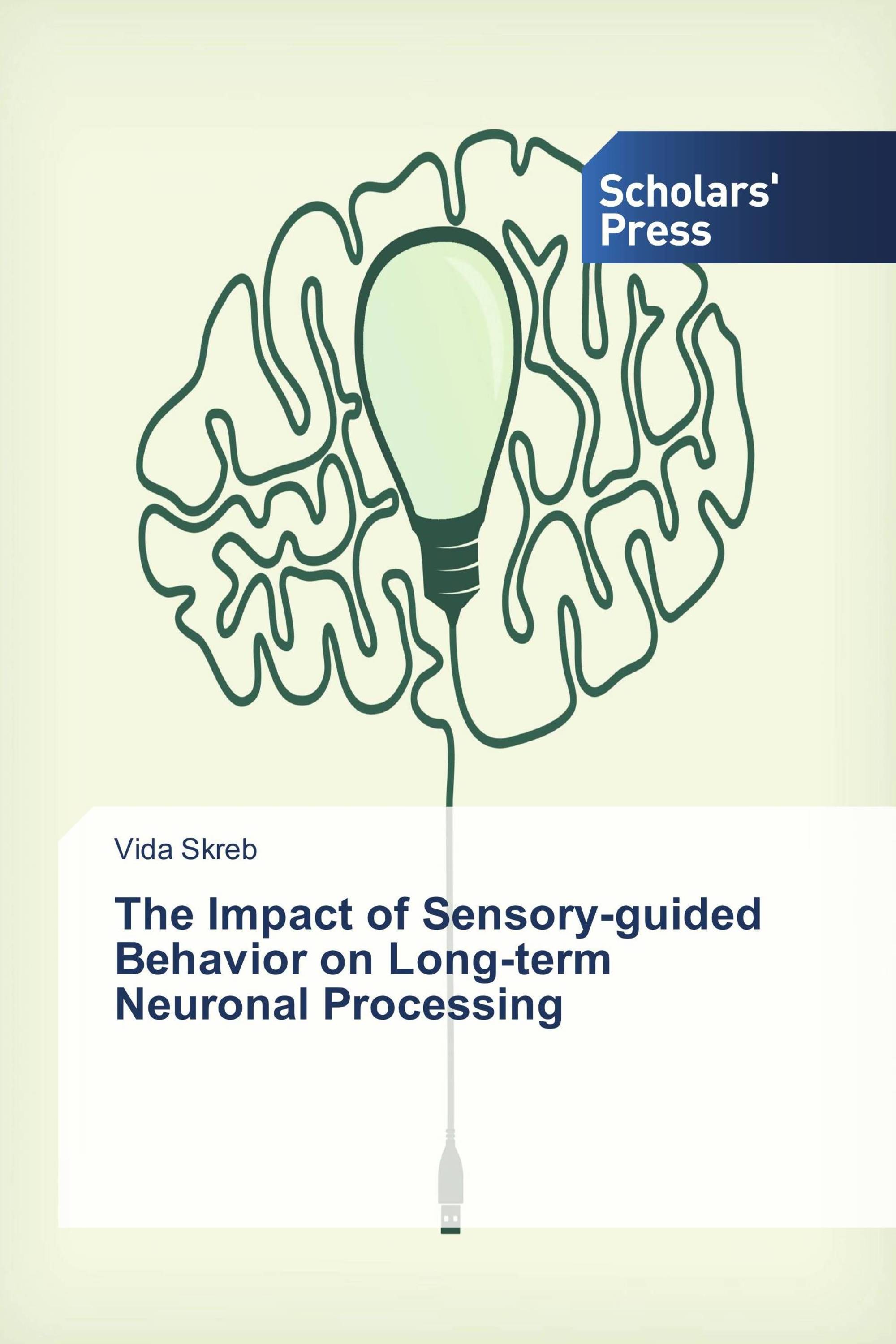 The Impact of Sensory-guided Behavior on Long-term Neuronal Processing