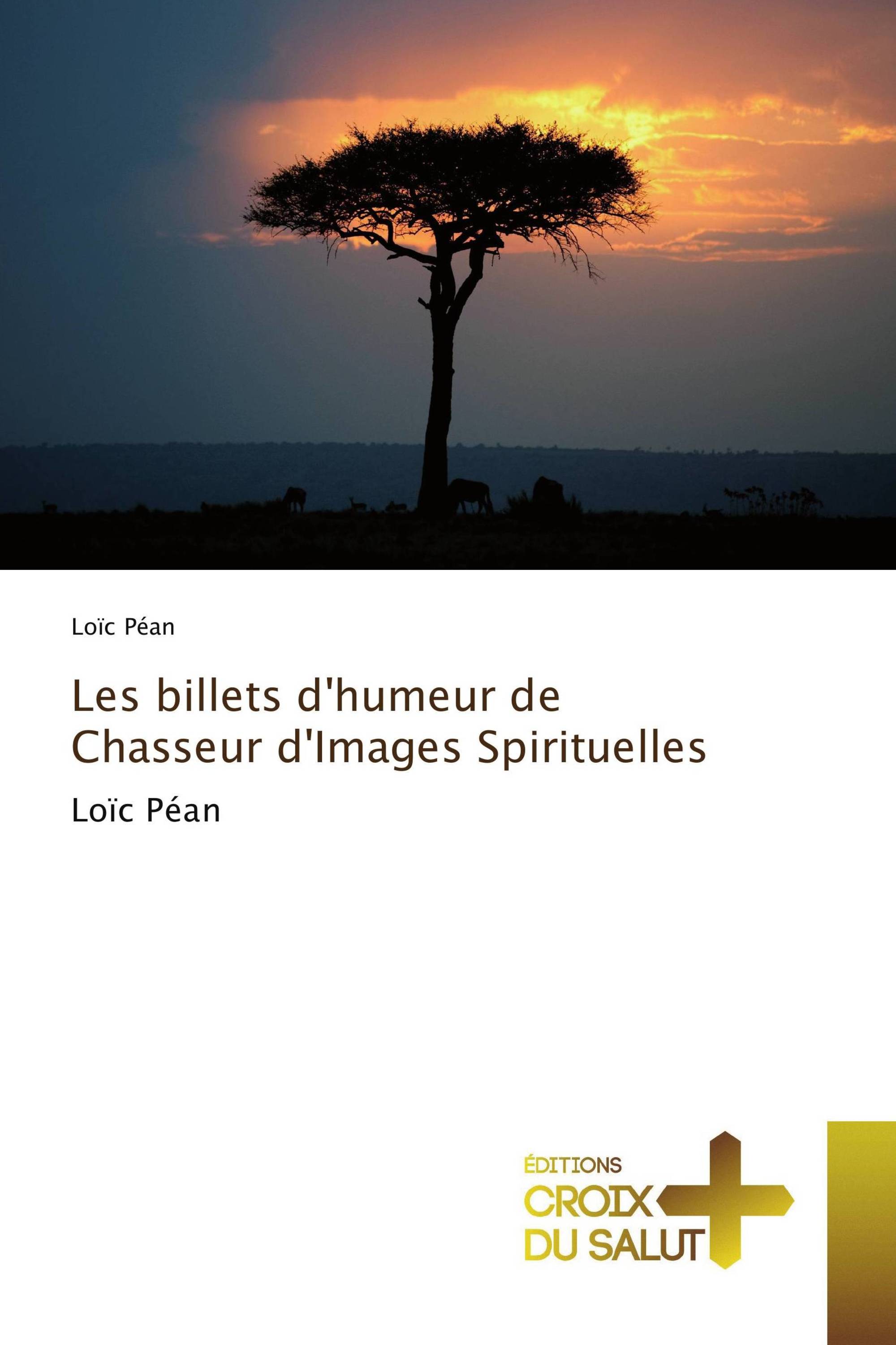 Les billets d'humeur de Chasseur d'Images Spirituelles