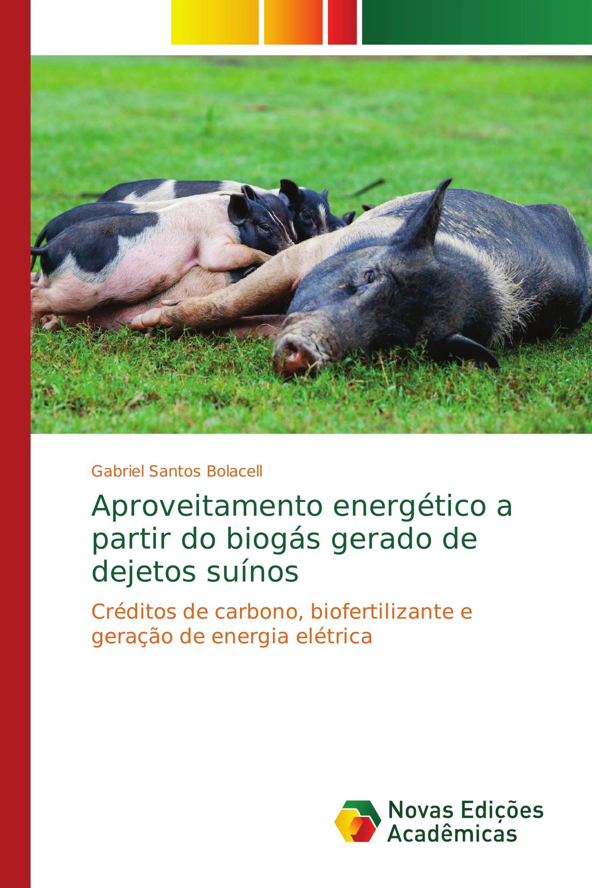 Aproveitamento energético a partir do biogás gerado de dejetos suínos