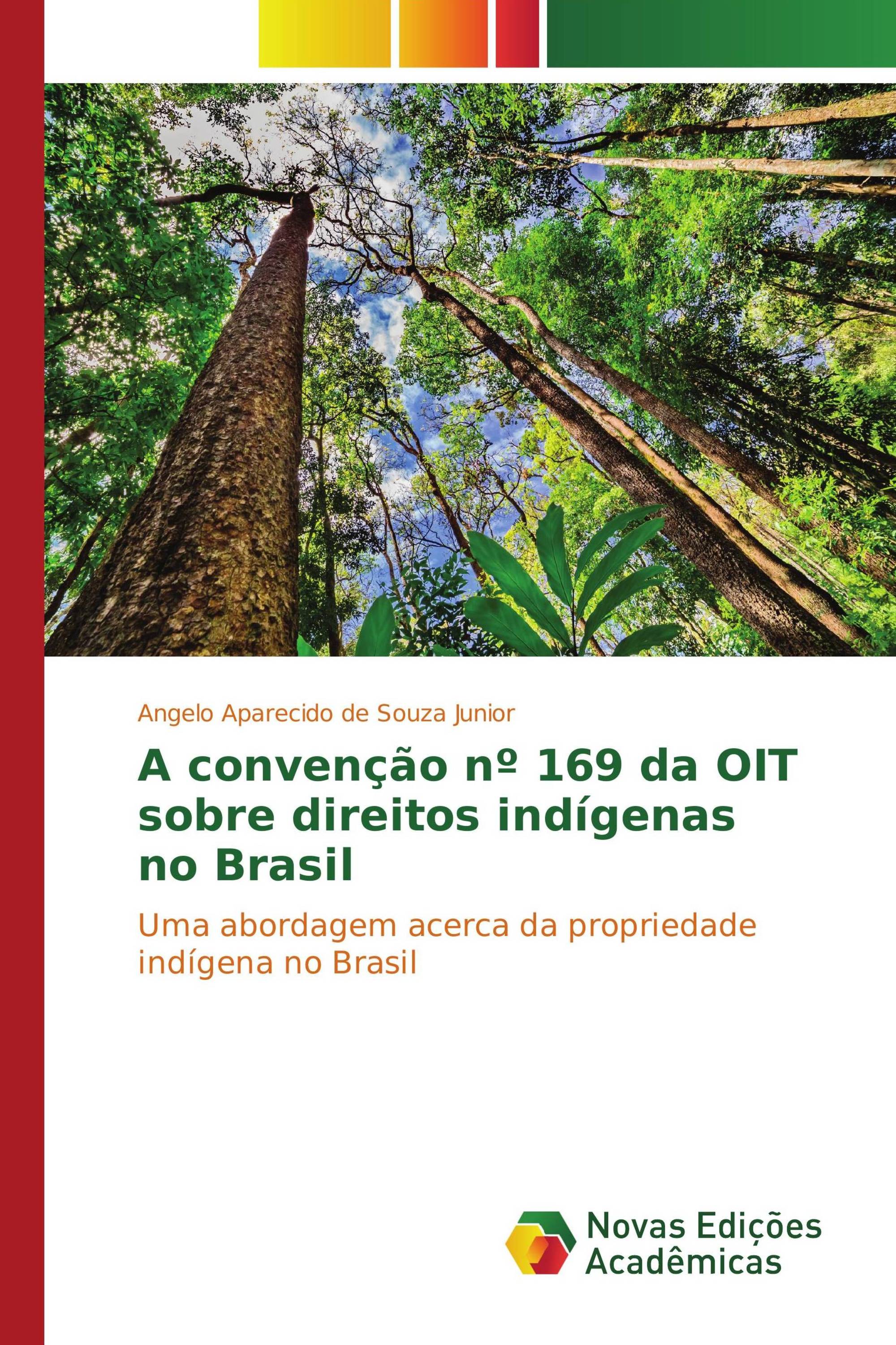 A convenção nº 169 da OIT sobre direitos indígenas no Brasil