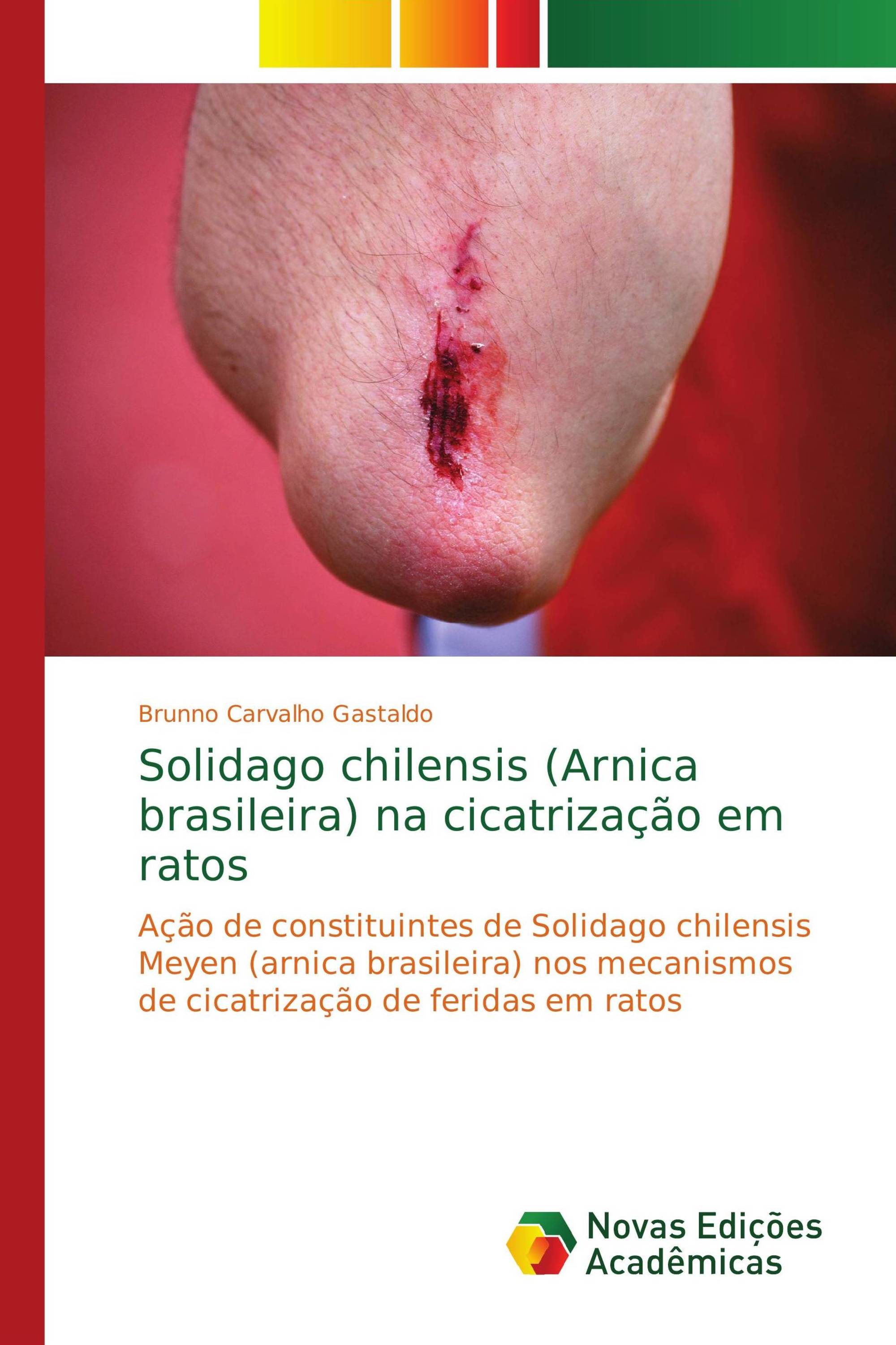 Solidago chilensis (Arnica brasileira) na cicatrização em ratos