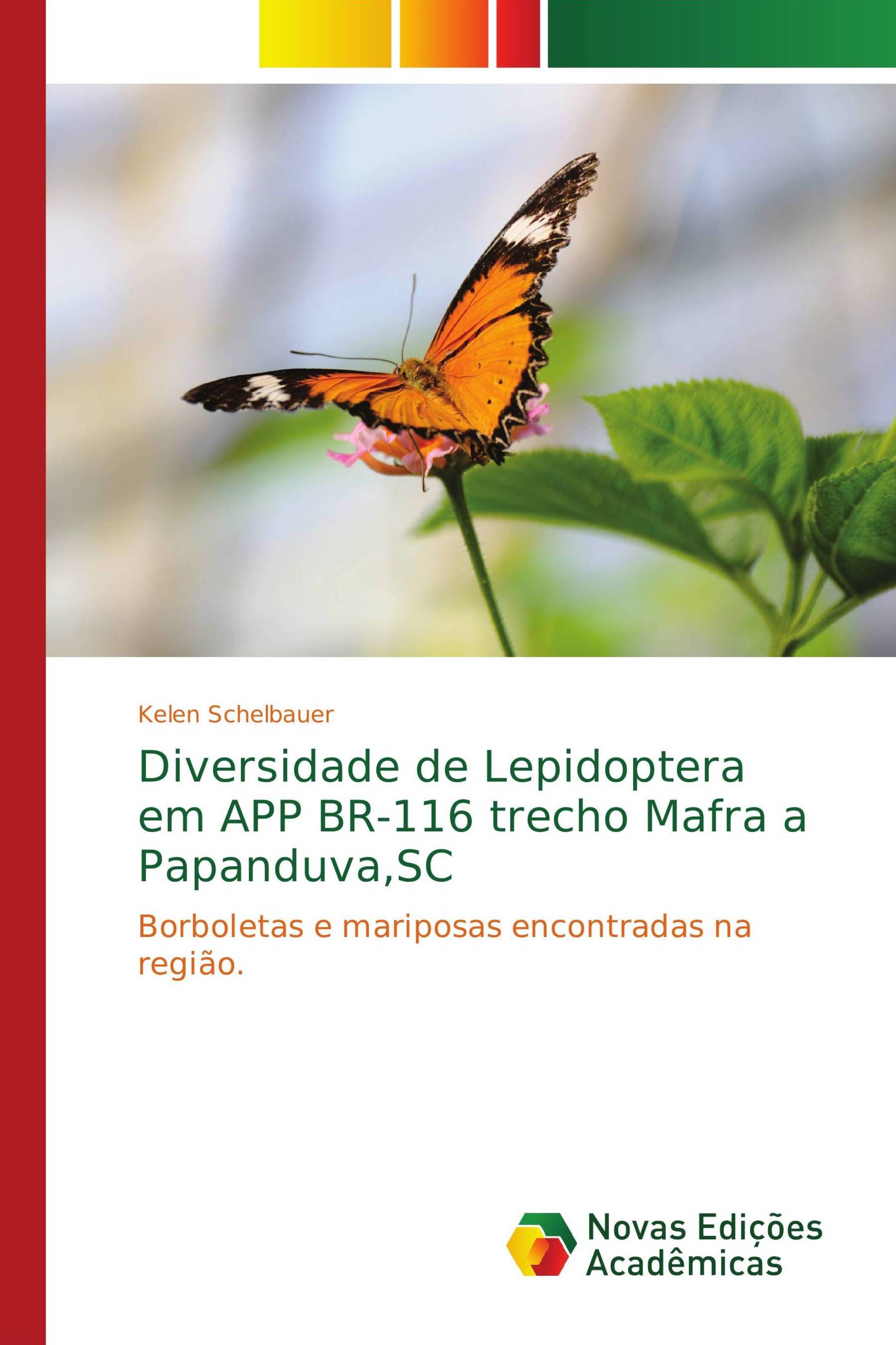 Diversidade de Lepidoptera em APP BR-116 trecho Mafra a Papanduva,SC