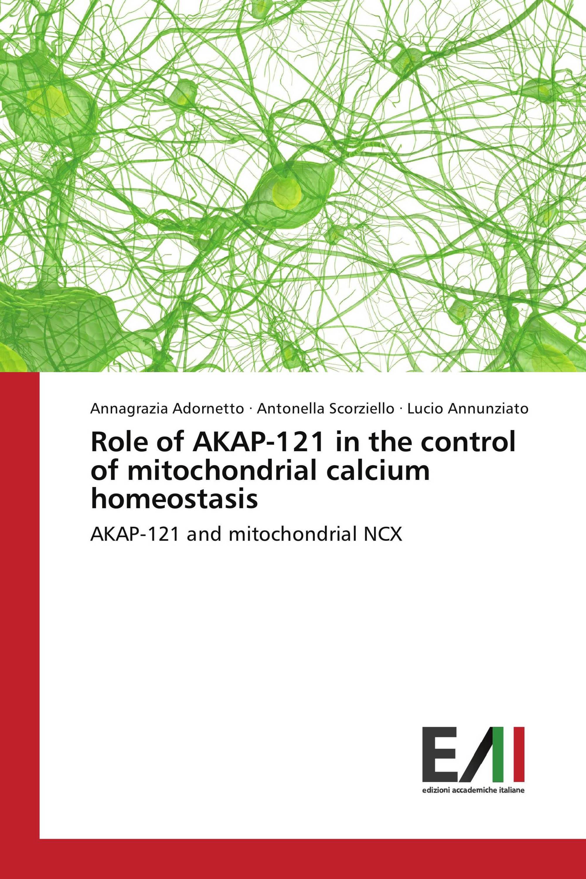 Role of AKAP-121 in the control of mitochondrial calcium homeostasis