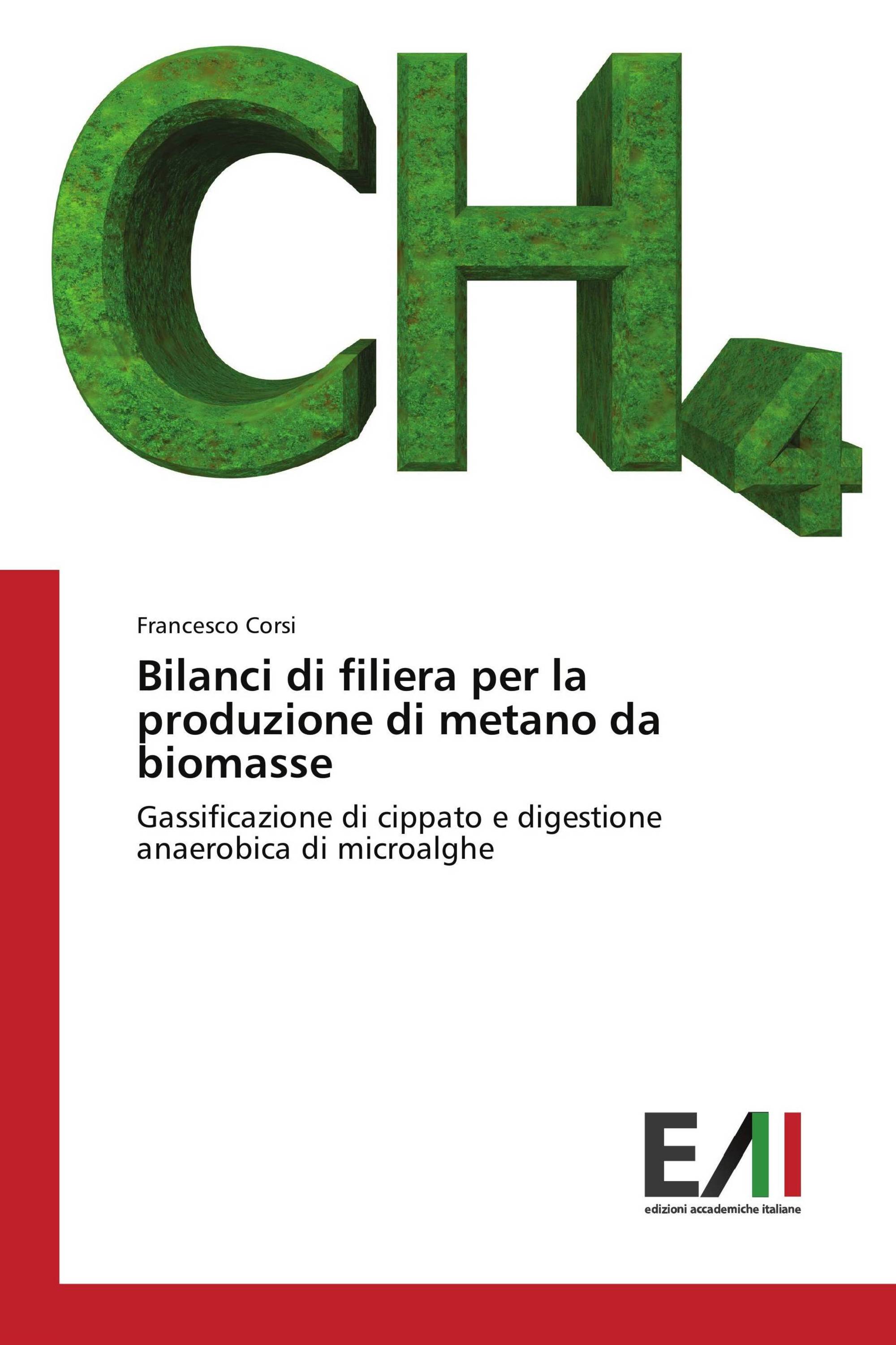 Bilanci di filiera per la produzione di metano da biomasse