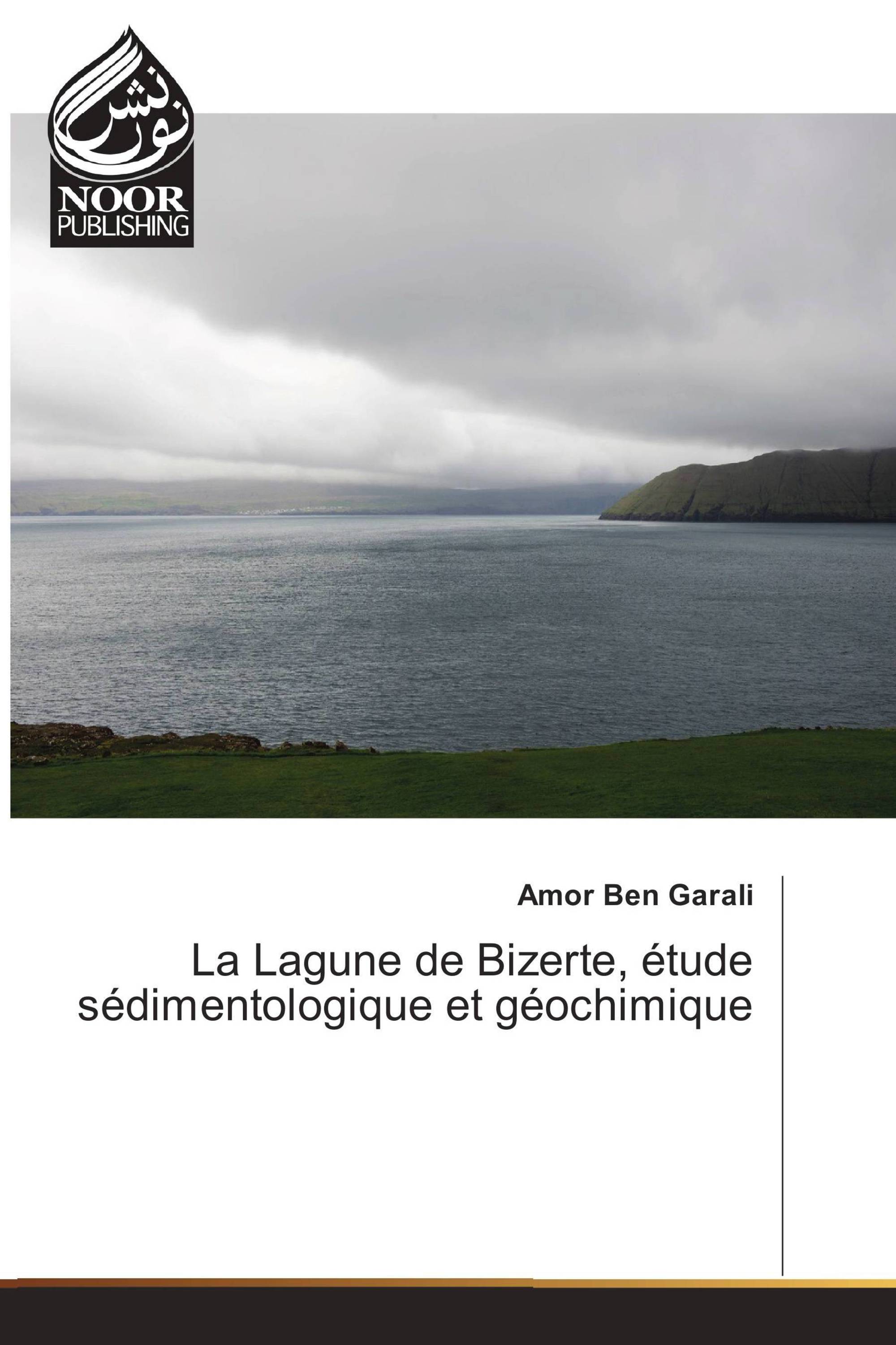 La Lagune de Bizerte, étude sédimentologique et géochimique
