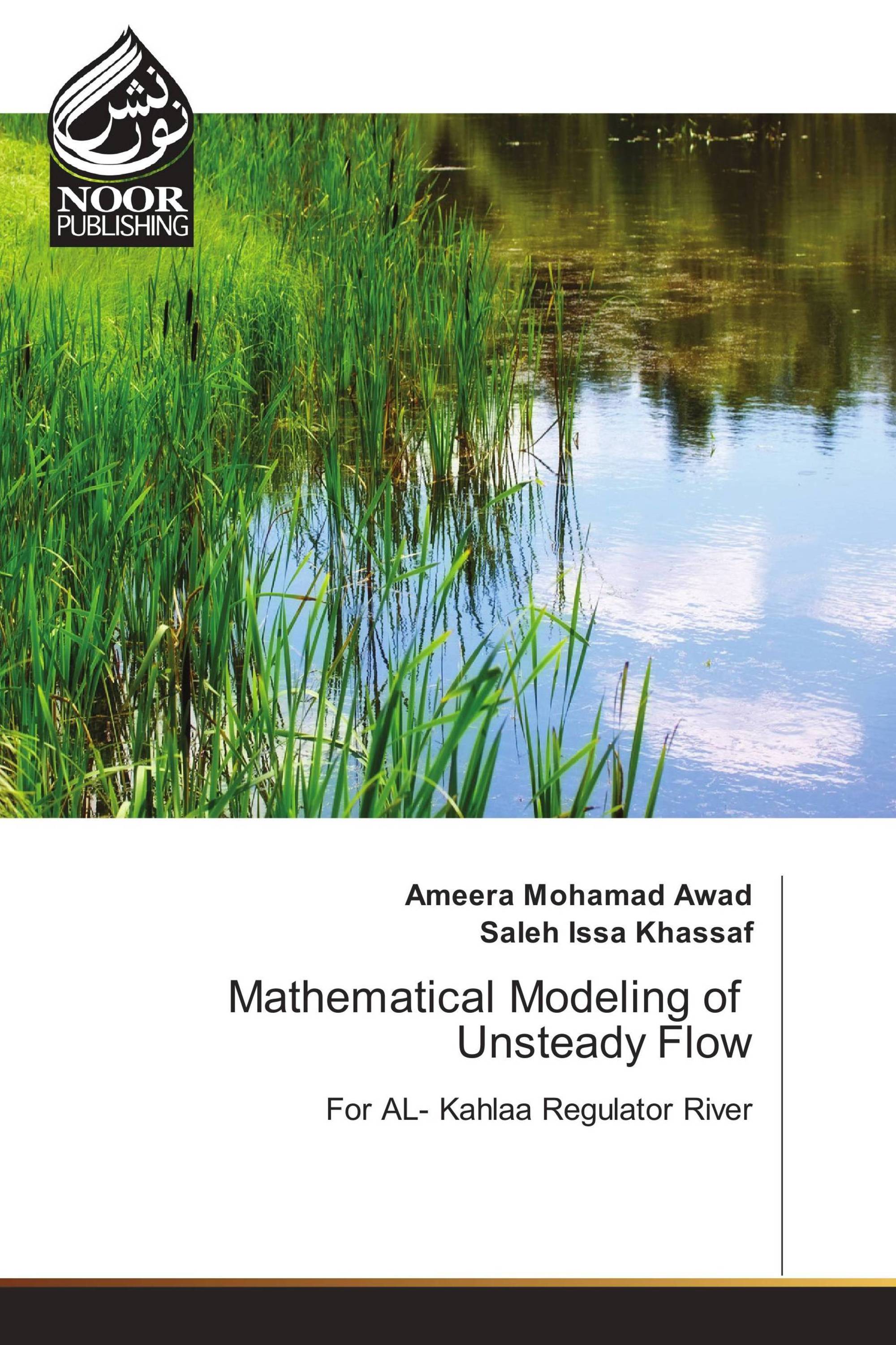 Mathematical Modeling of Unsteady Flow
