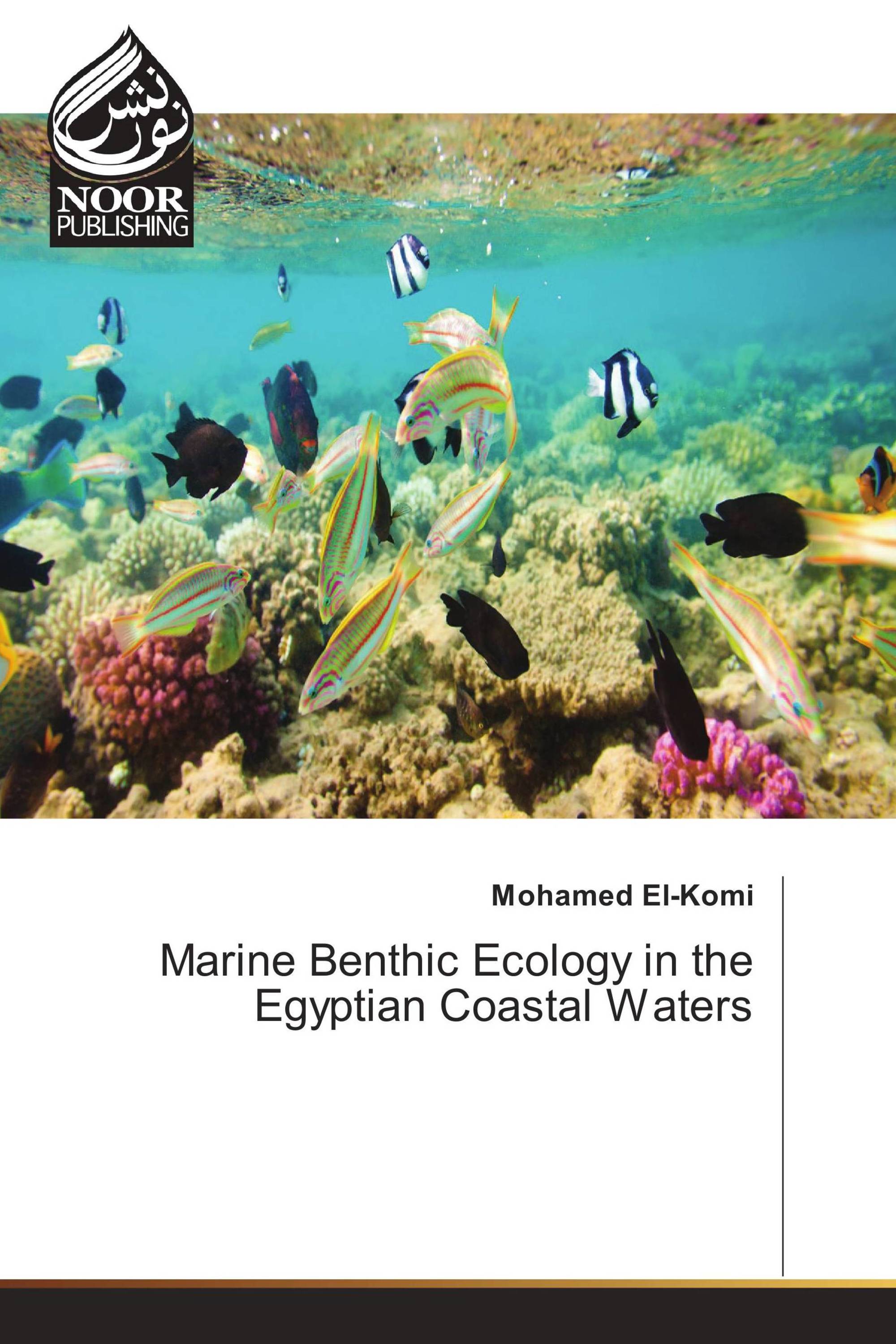 Marine Benthic Ecology in the Egyptian Coastal Waters