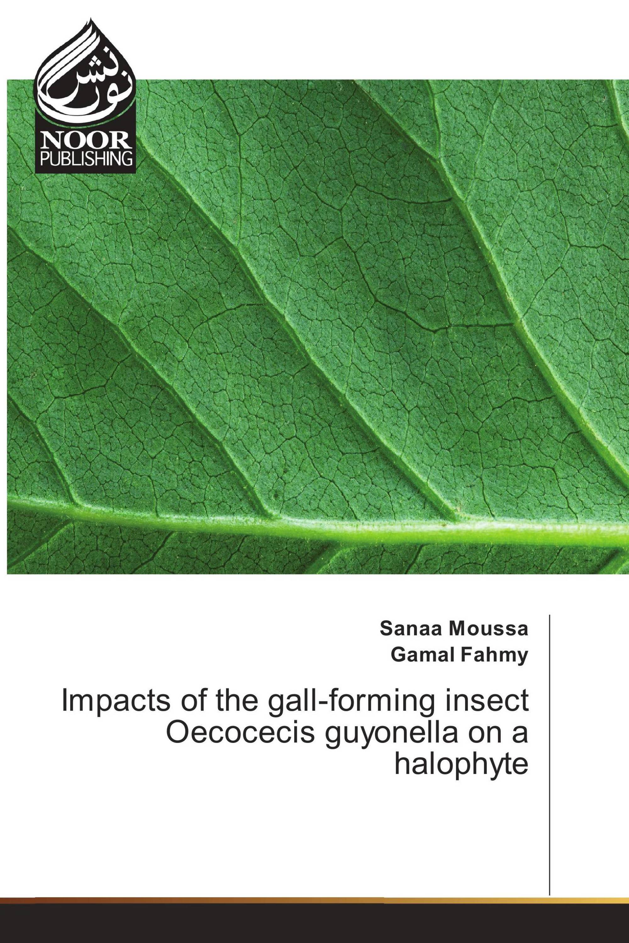 Impacts of the gall-forming insect Oecocecis guyonella on a halophyte