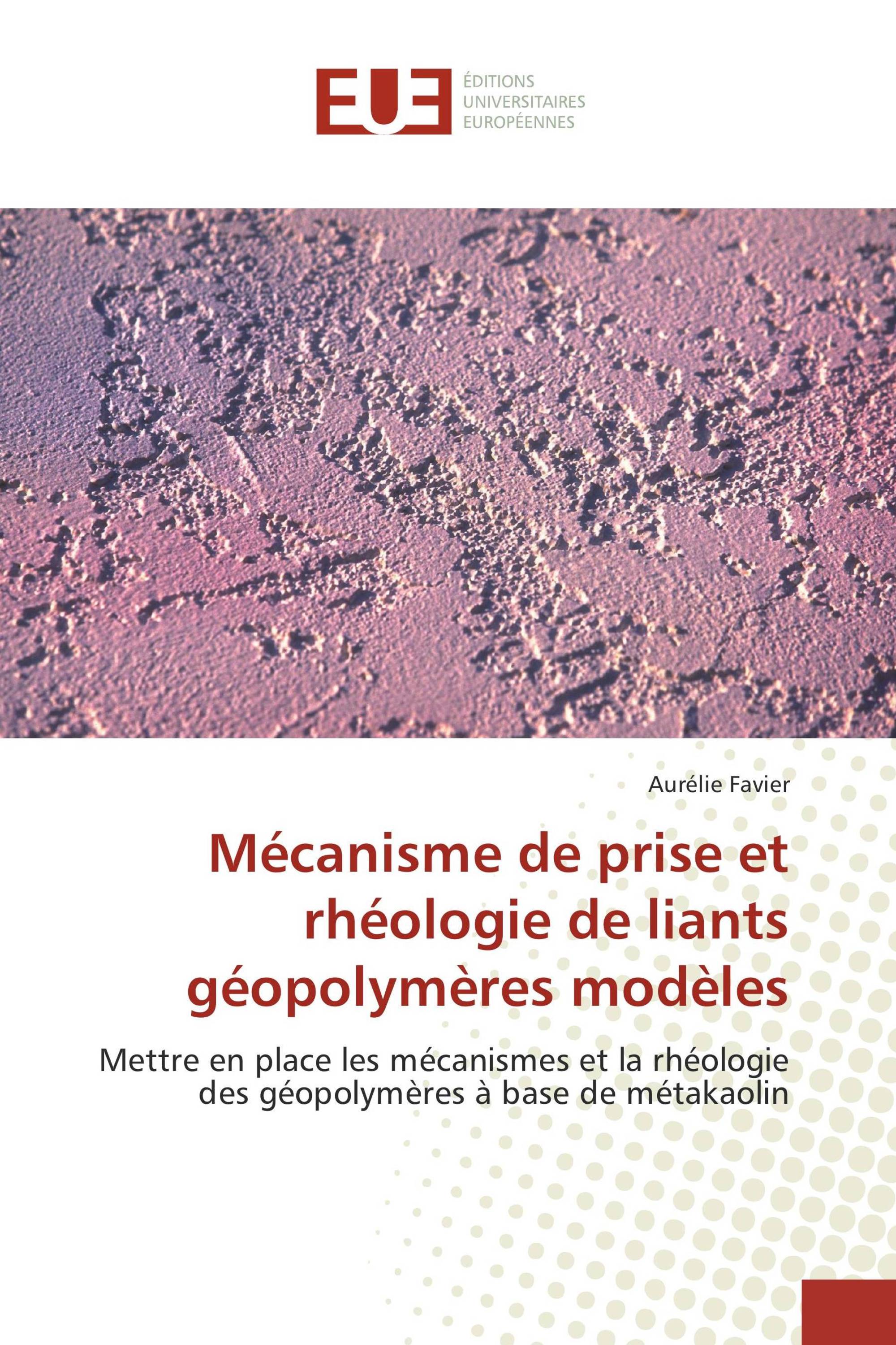 Mécanisme de prise et rhéologie de liants géopolymères modèles