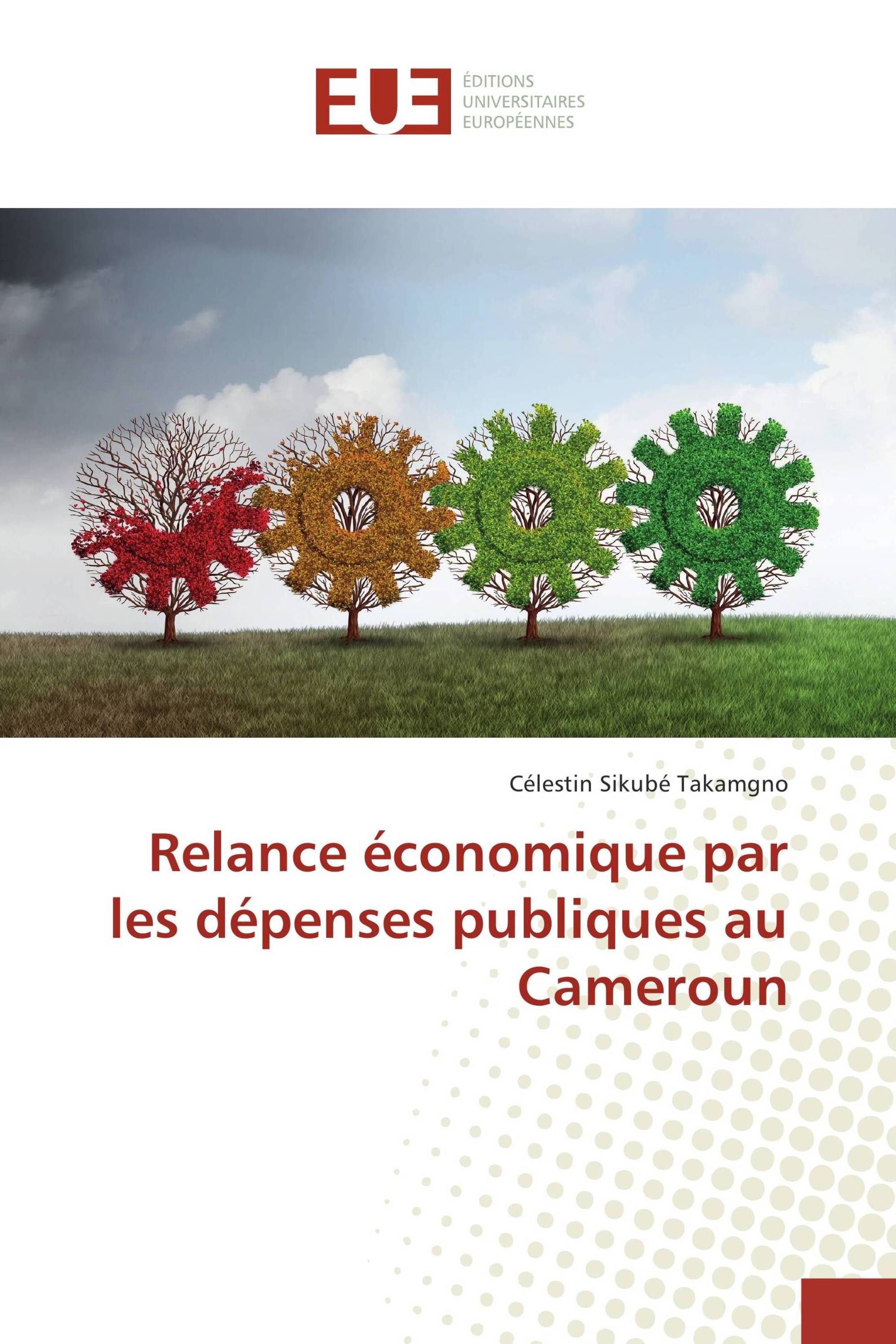 Relance économique par les dépenses publiques au Cameroun