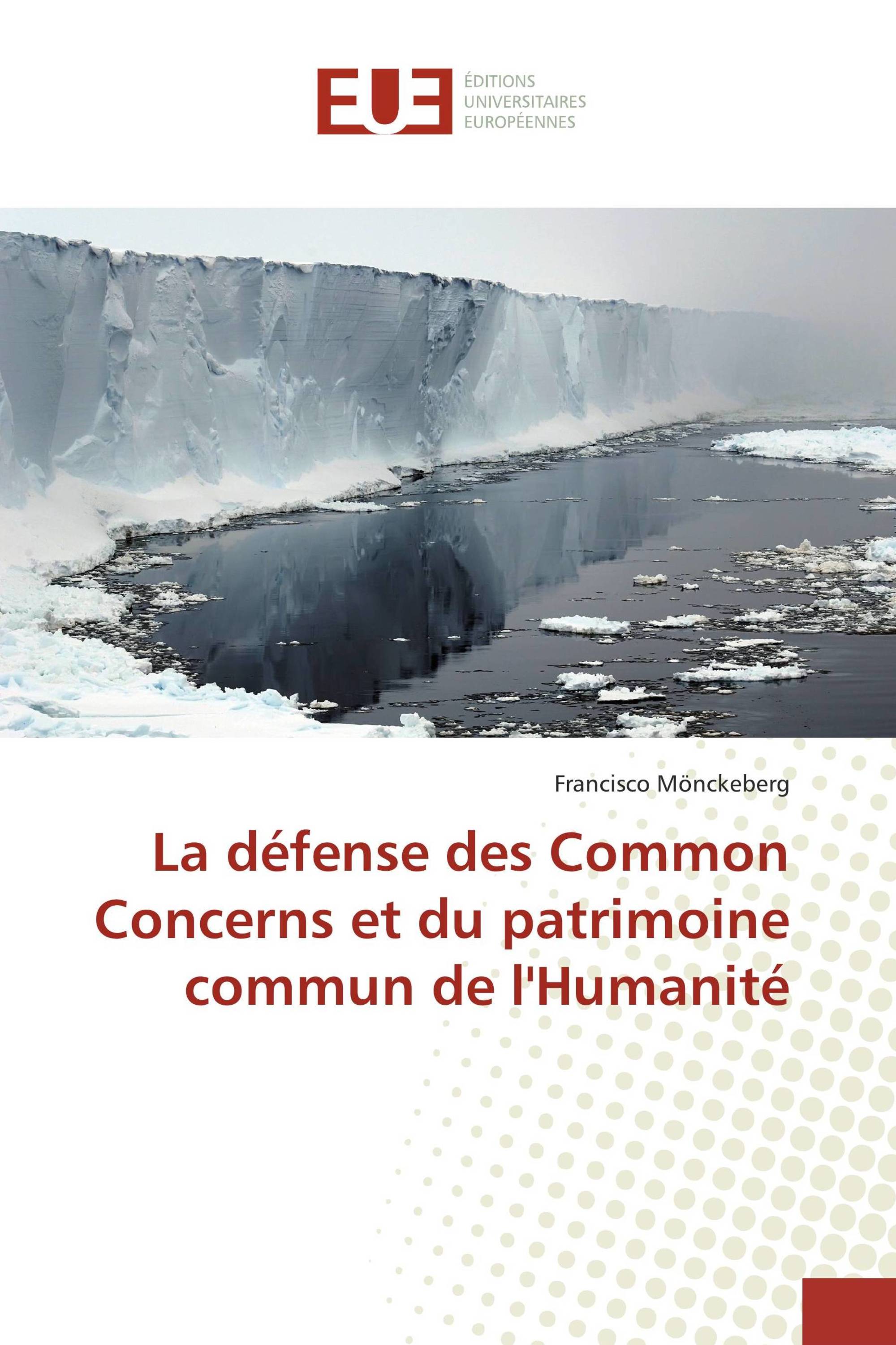 La défense des Common Concerns et du patrimoine commun de l'Humanité