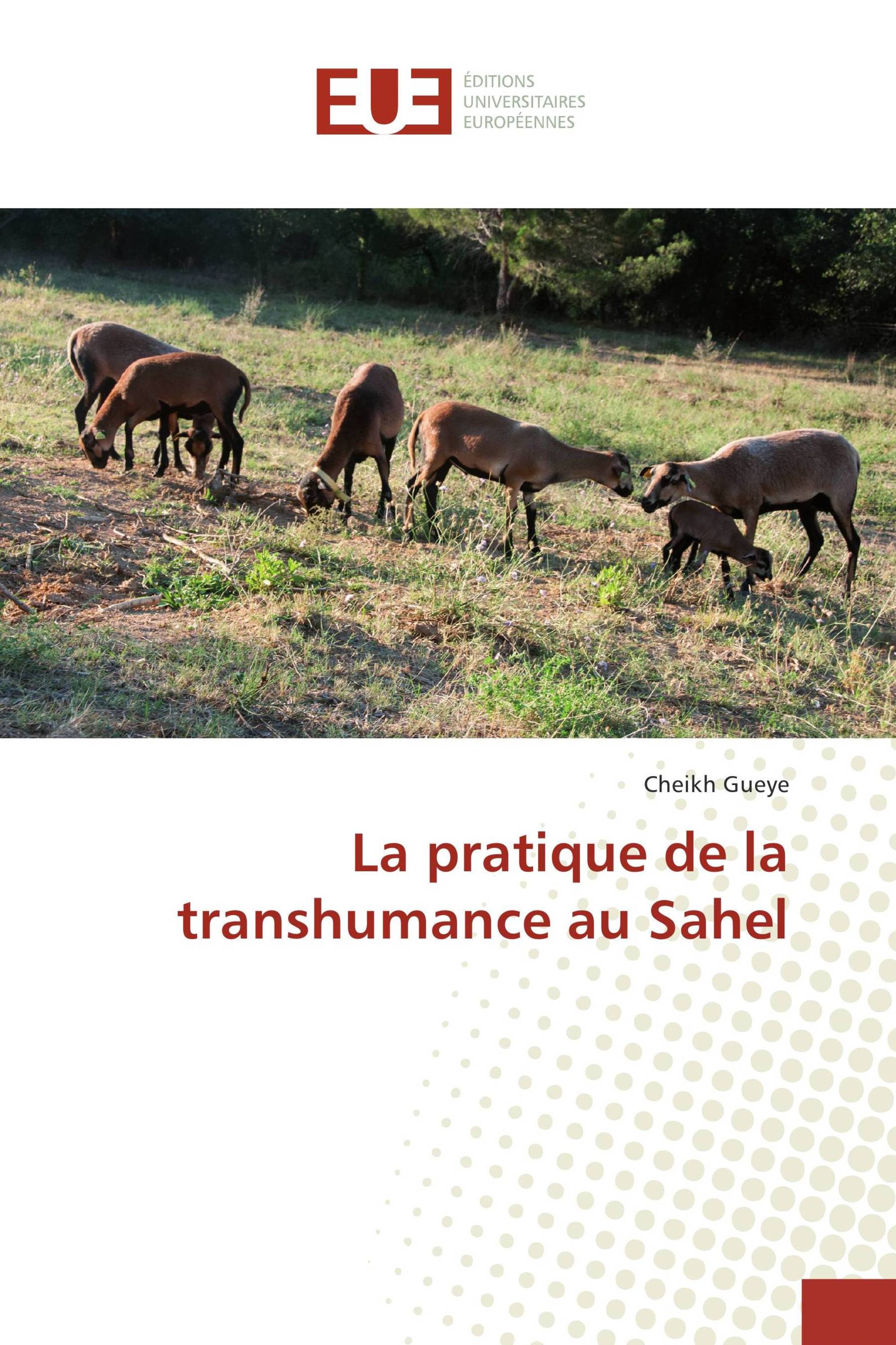 La pratique de la transhumance au Sahel