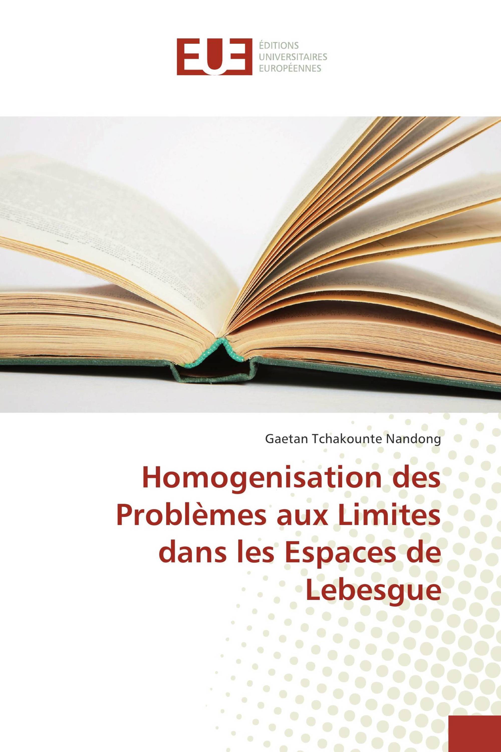 Homogenisation des Problèmes aux Limites dans les Espaces de Lebesgue