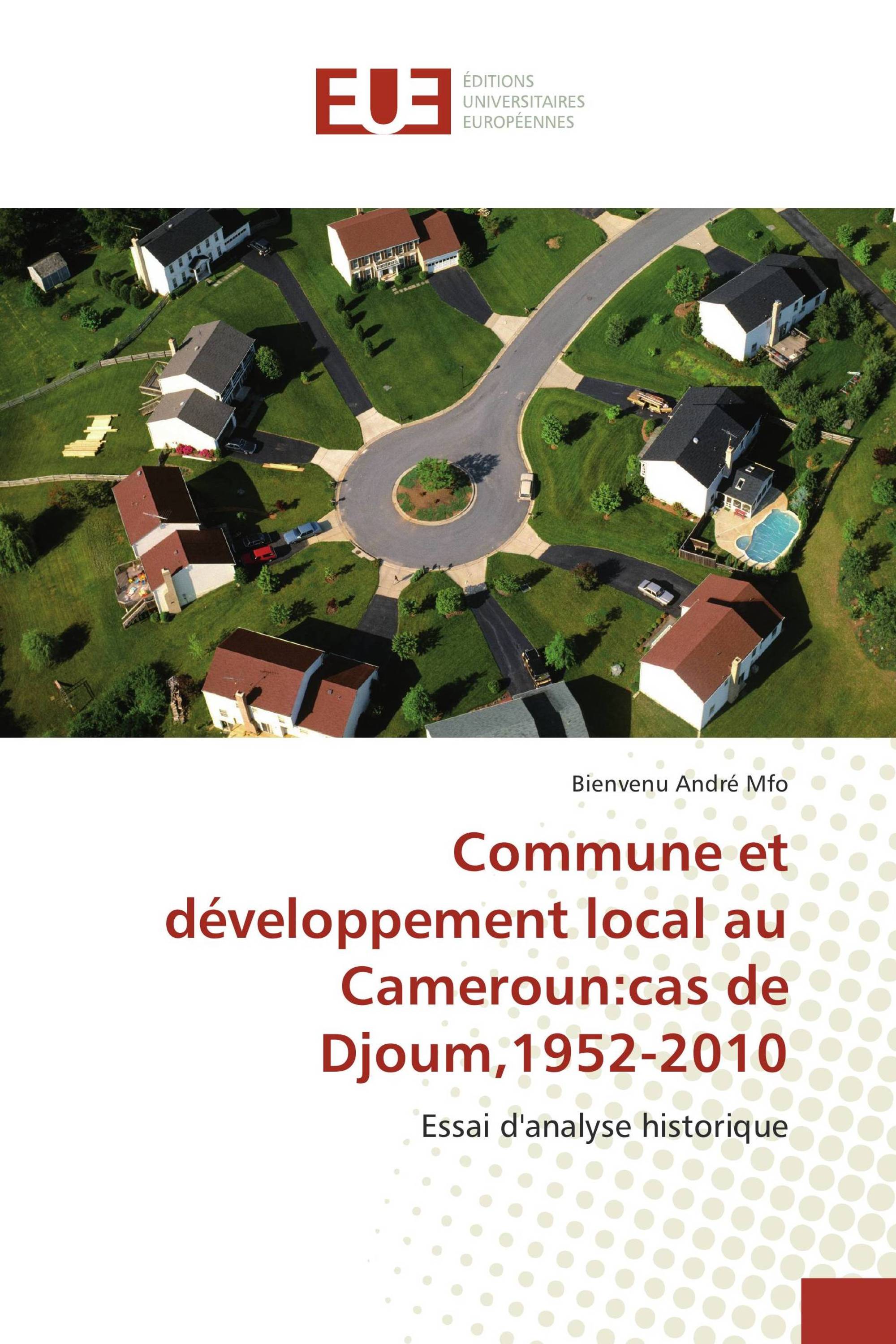 Commune et développement local au Cameroun:cas de Djoum,1952-2010