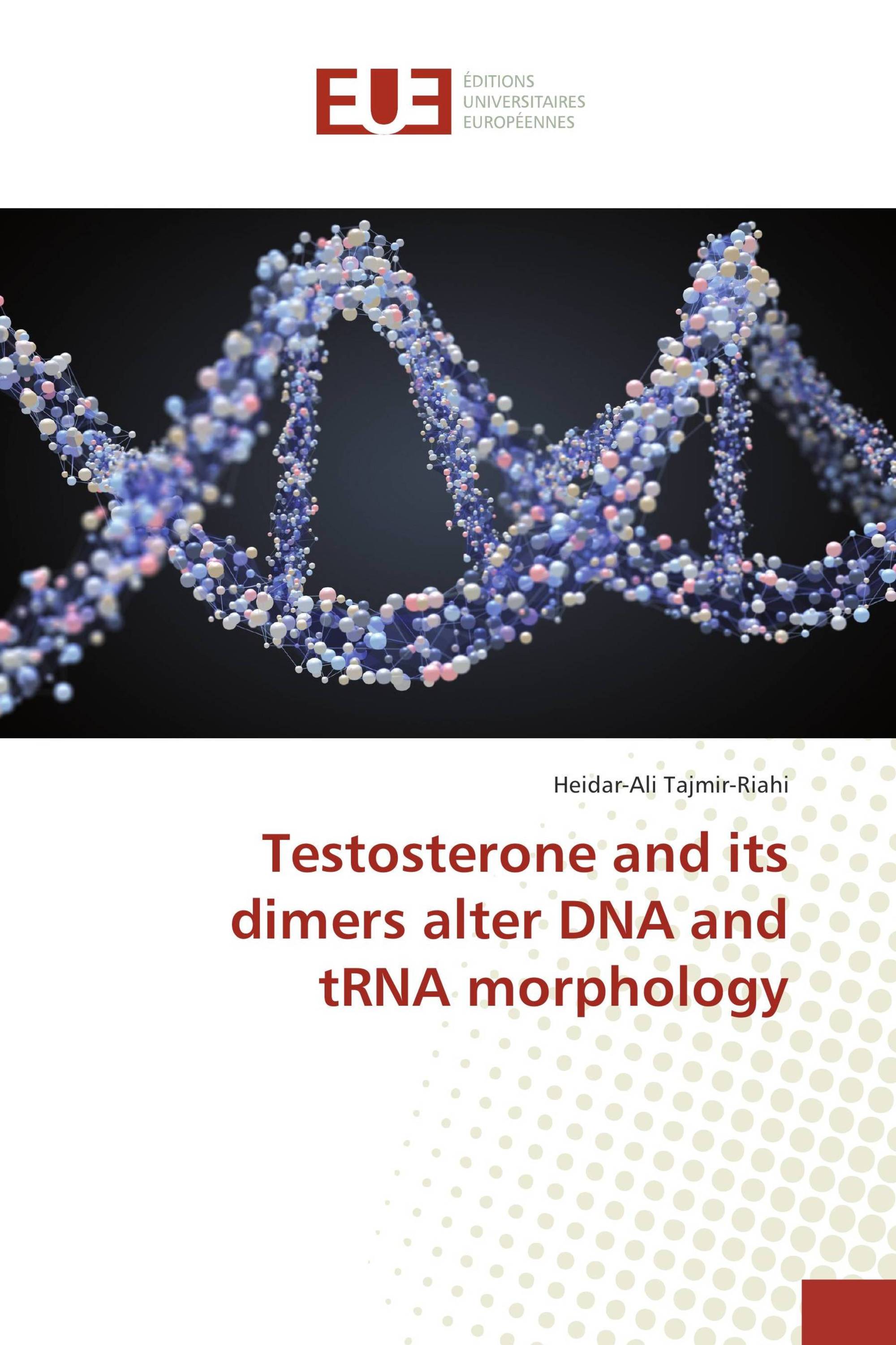 Testosterone and its dimers alter DNA and tRNA morphology