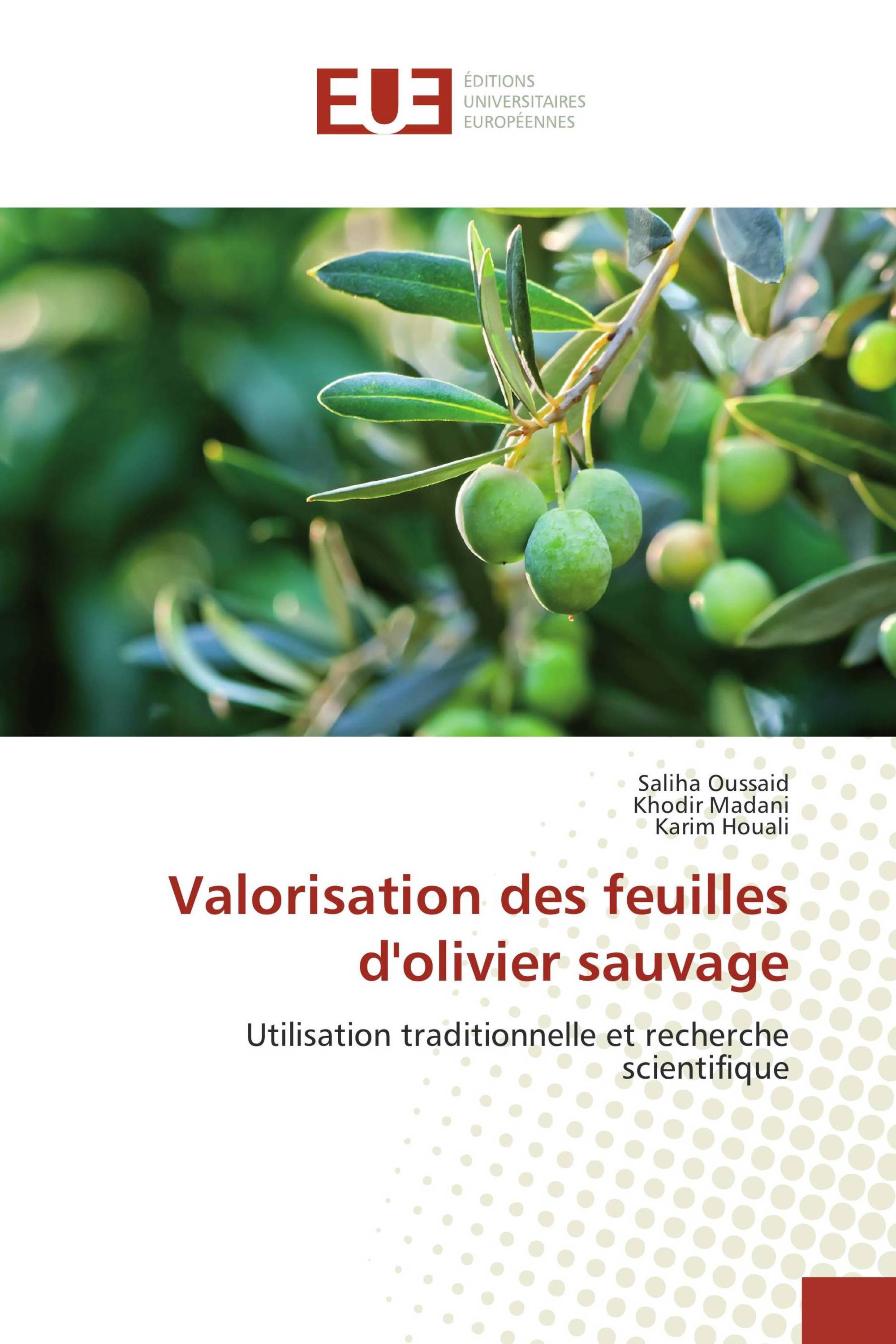 Valorisation des feuilles d'olivier sauvage