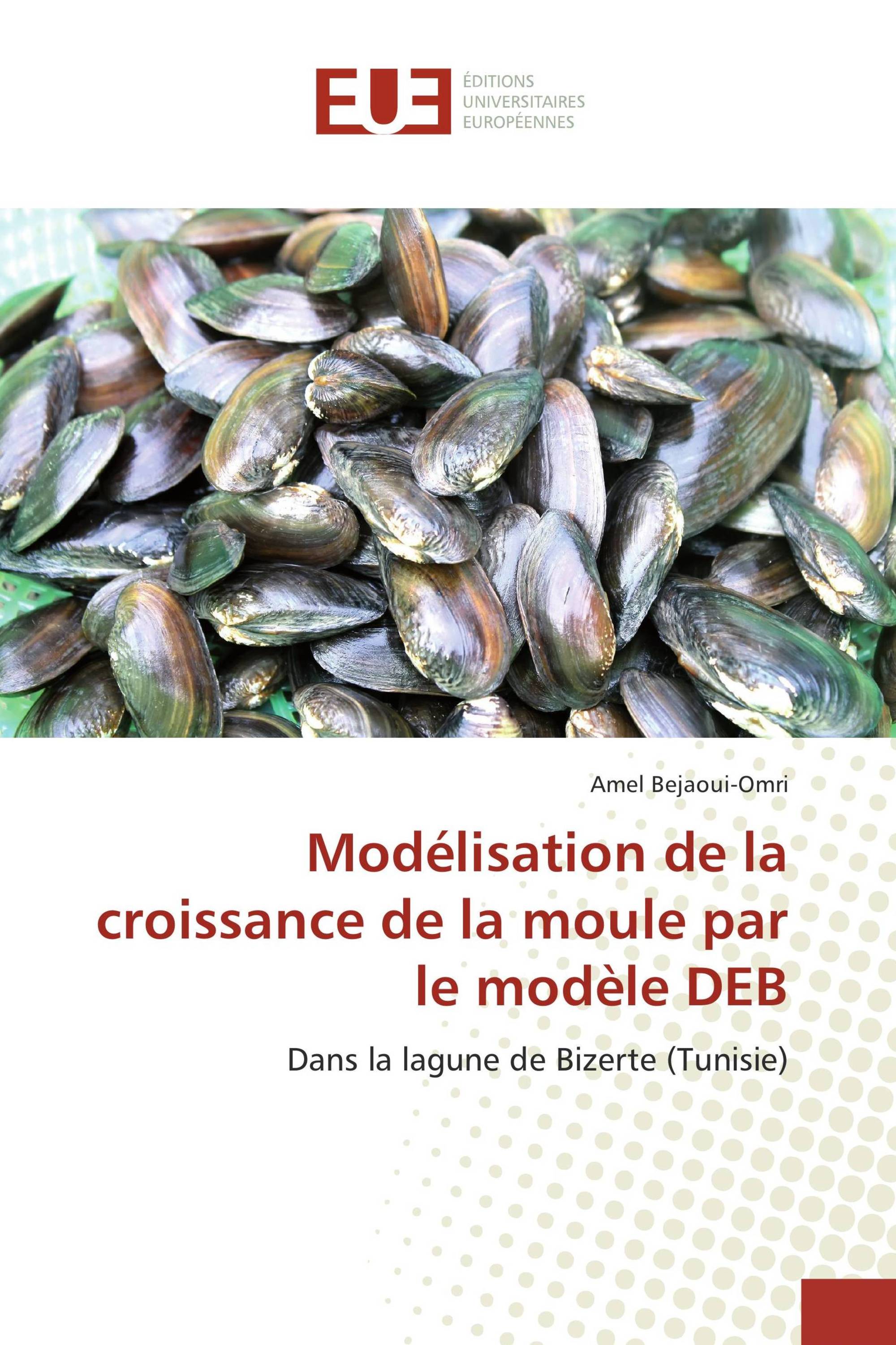 Modélisation de la croissance de la moule par le modèle DEB