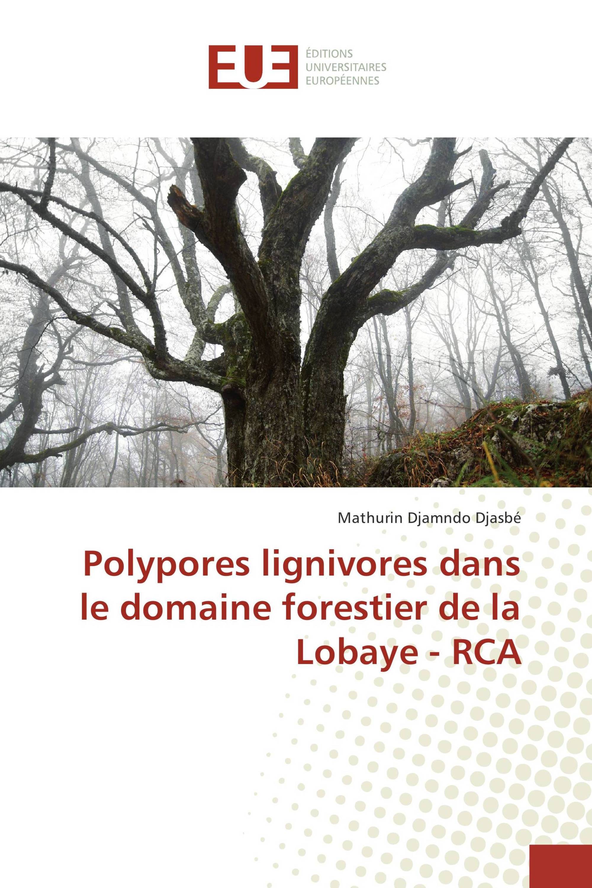 Polypores lignivores dans le domaine forestier de la Lobaye - RCA