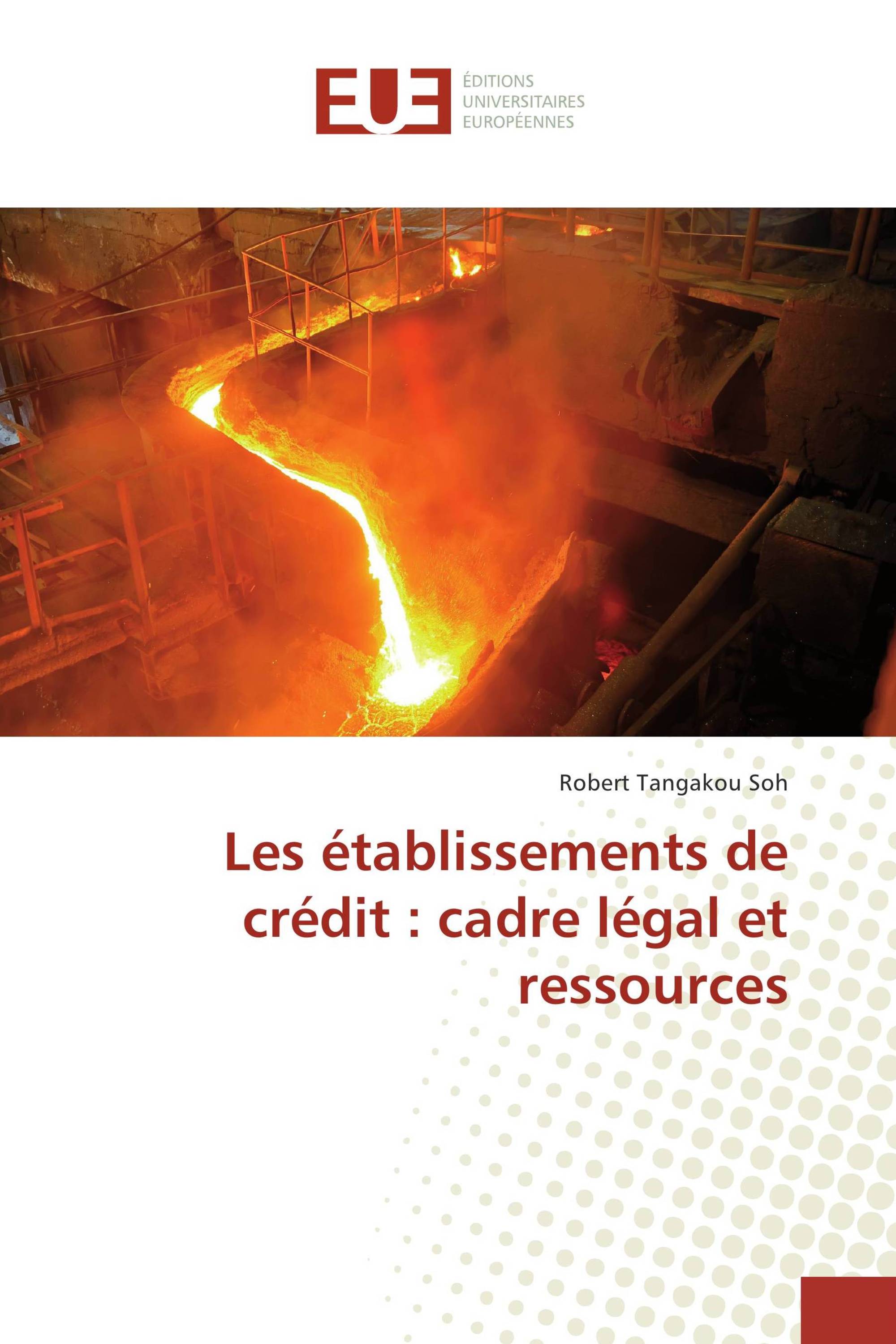 Les établissements de crédit : cadre légal et ressources