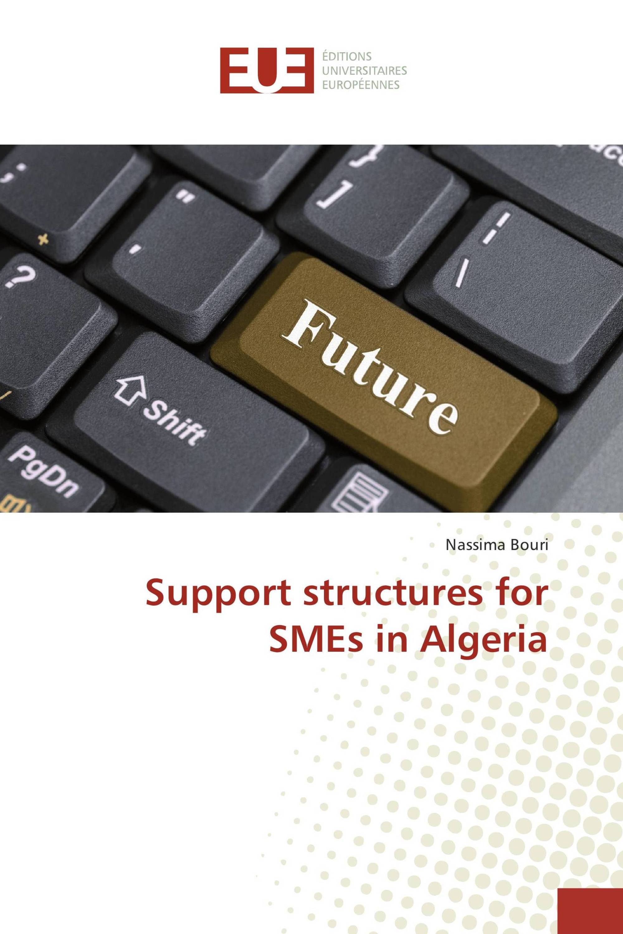 Support structures for SMEs in Algeria