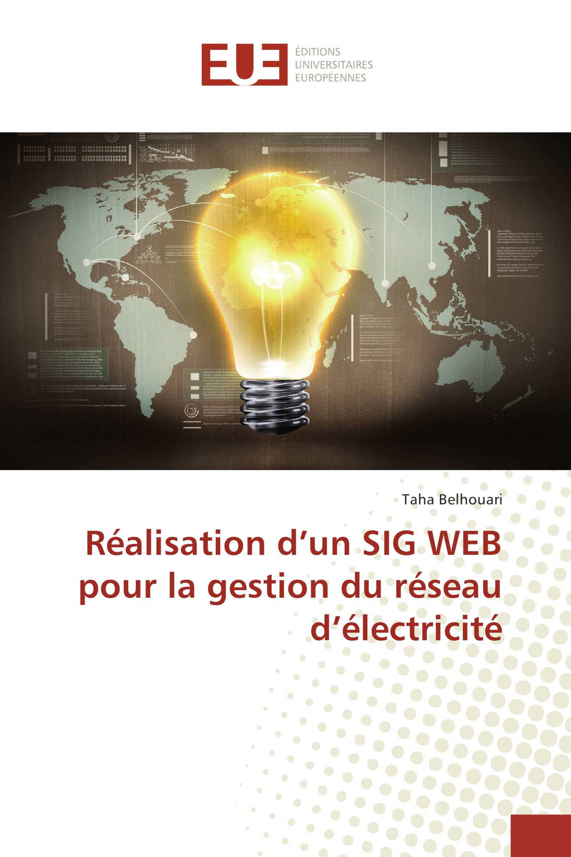 Réalisation d’un SIG WEB pour la gestion du réseau d’électricité