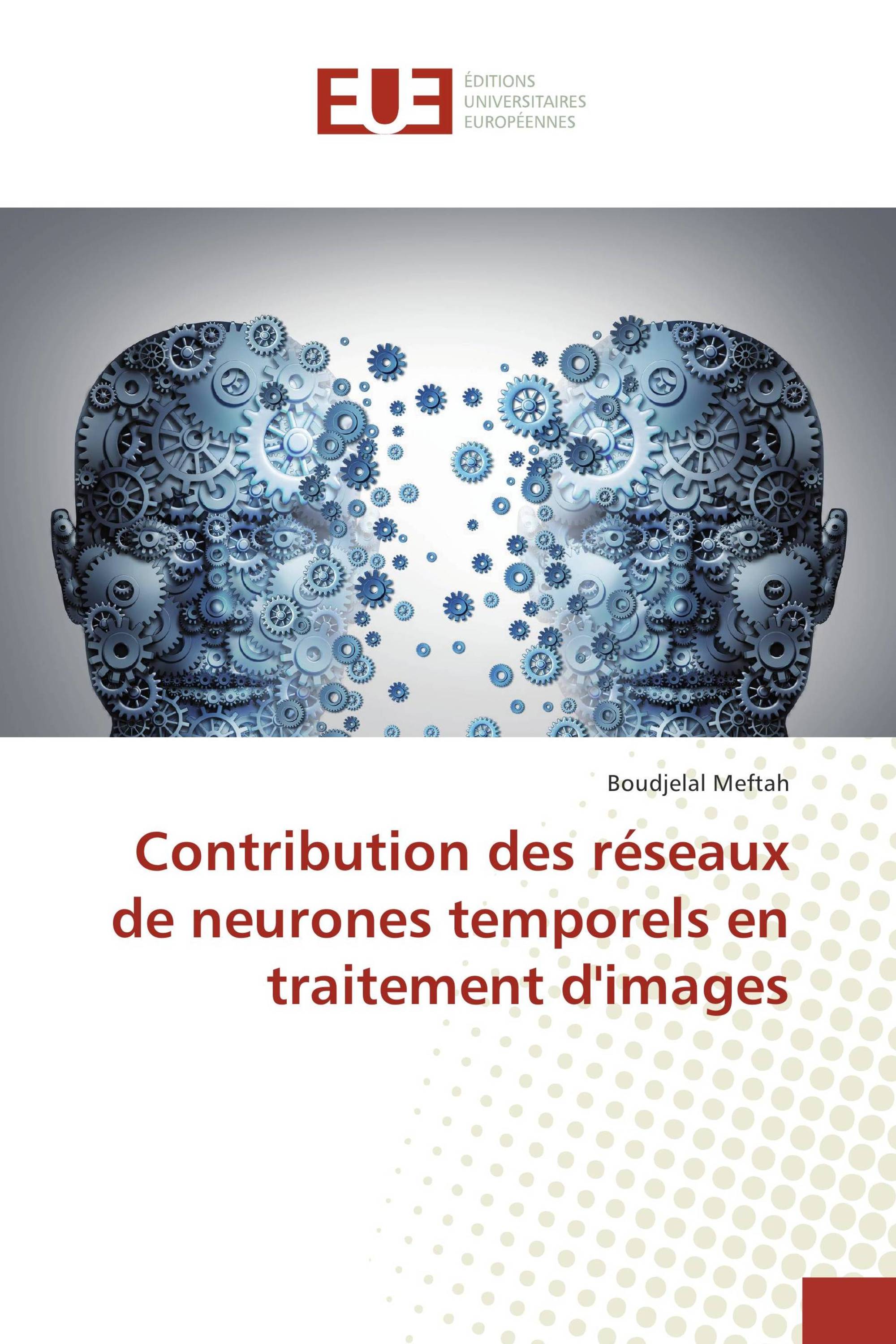 Contribution des réseaux de neurones temporels en traitement d'images