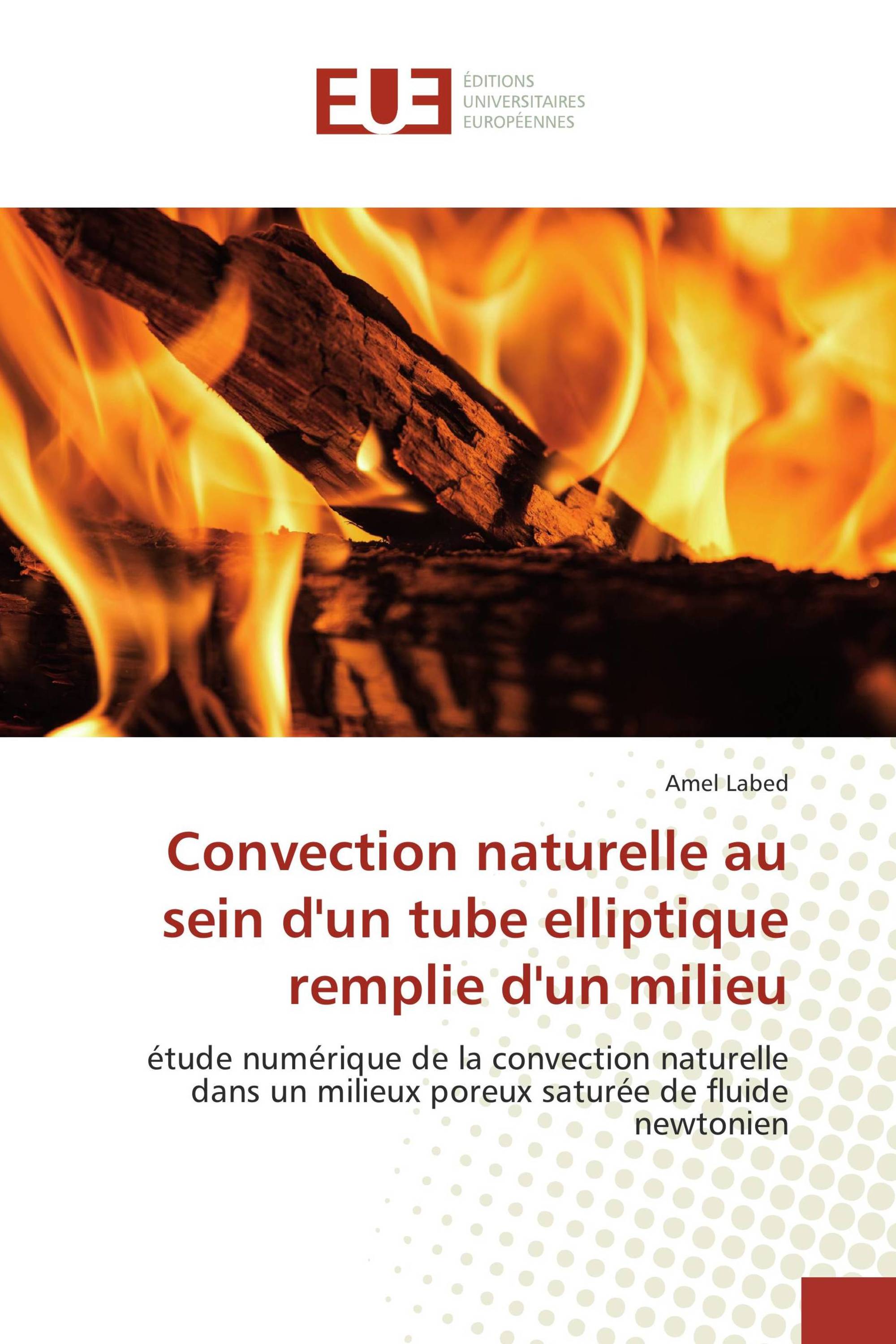 Convection naturelle au sein d'un tube elliptique remplie d'un milieu