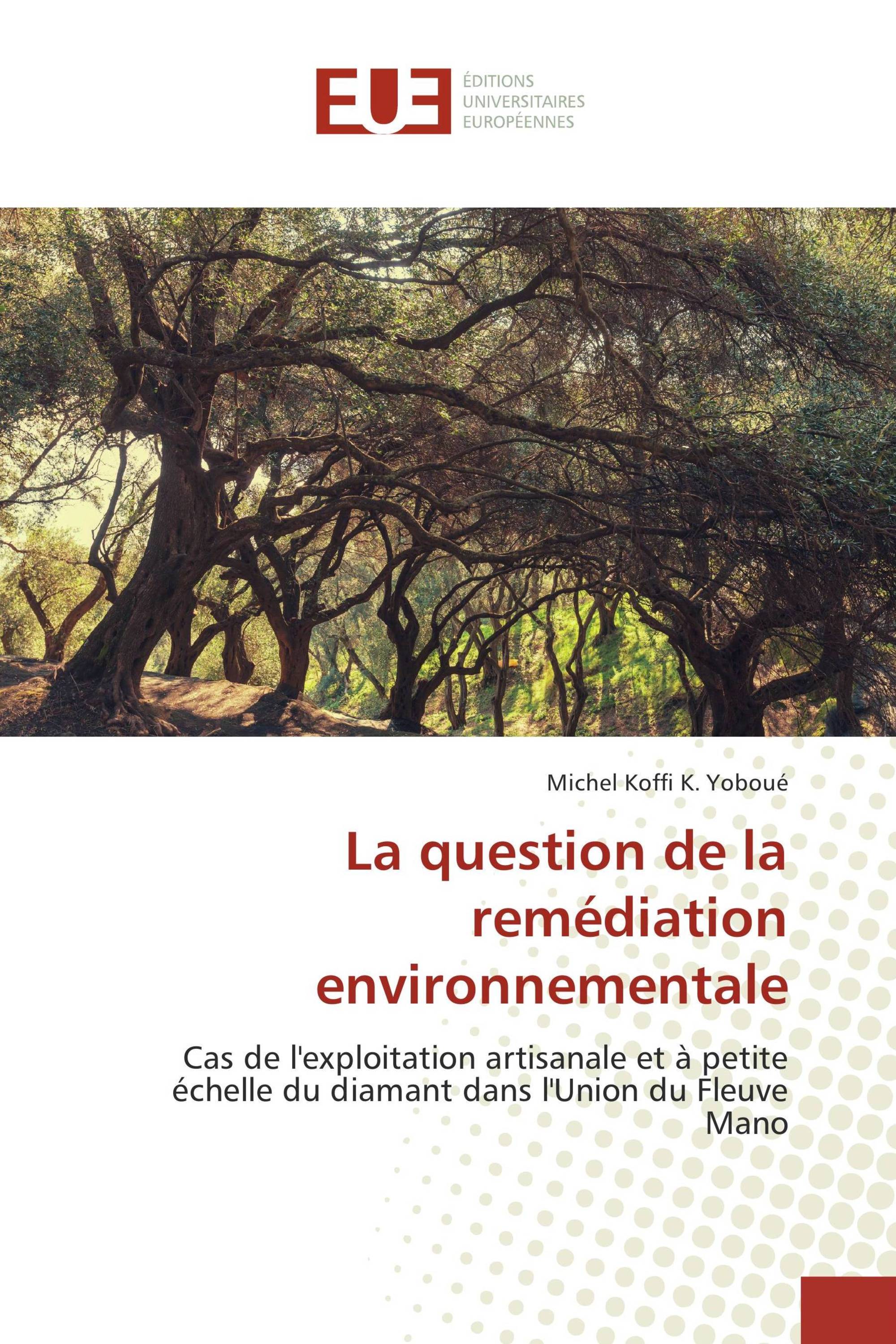 La question de la remédiation environnementale