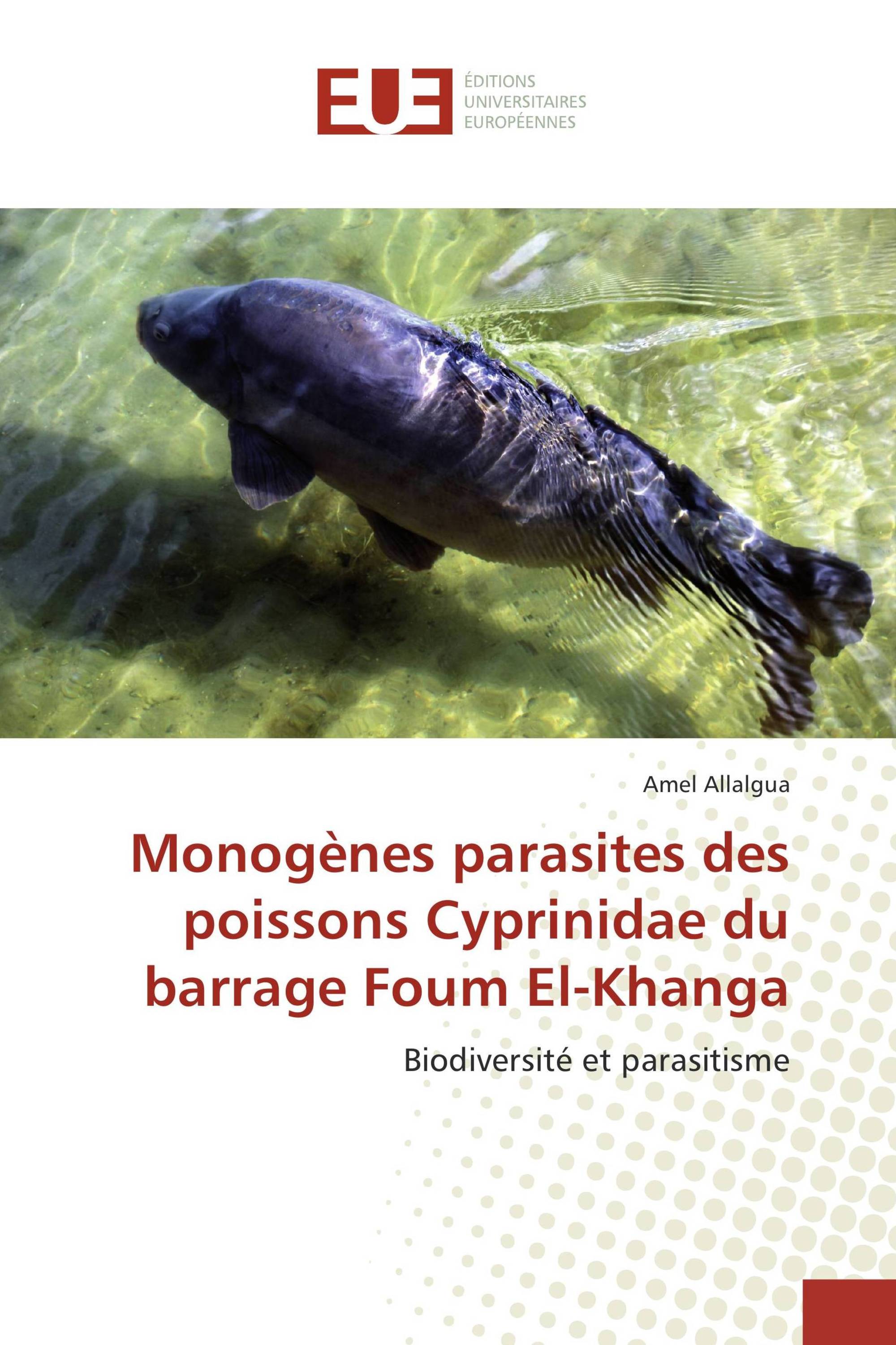 Monogènes parasites des poissons Cyprinidae du barrage Foum El-Khanga