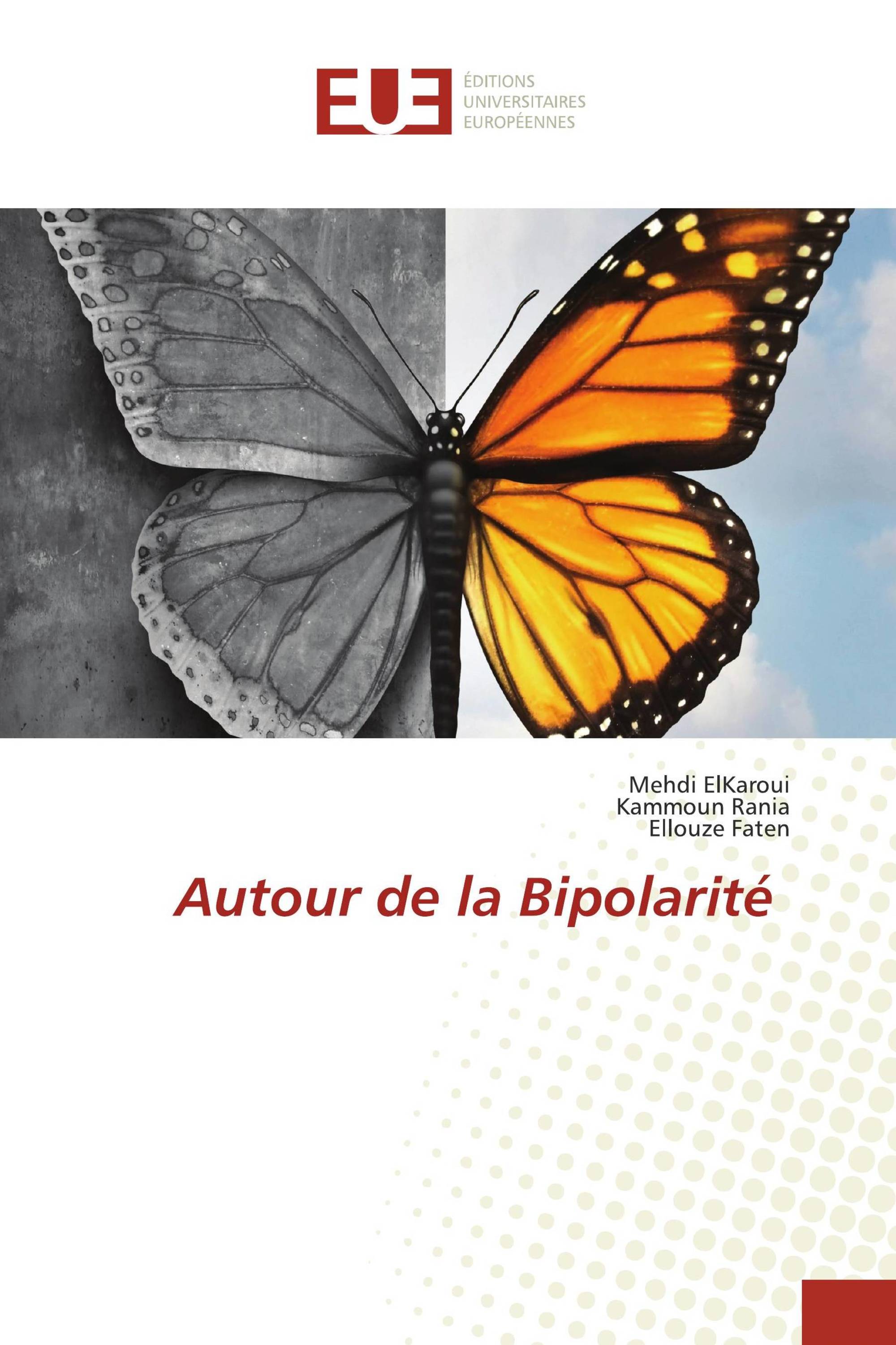 Autour de la Bipolarité