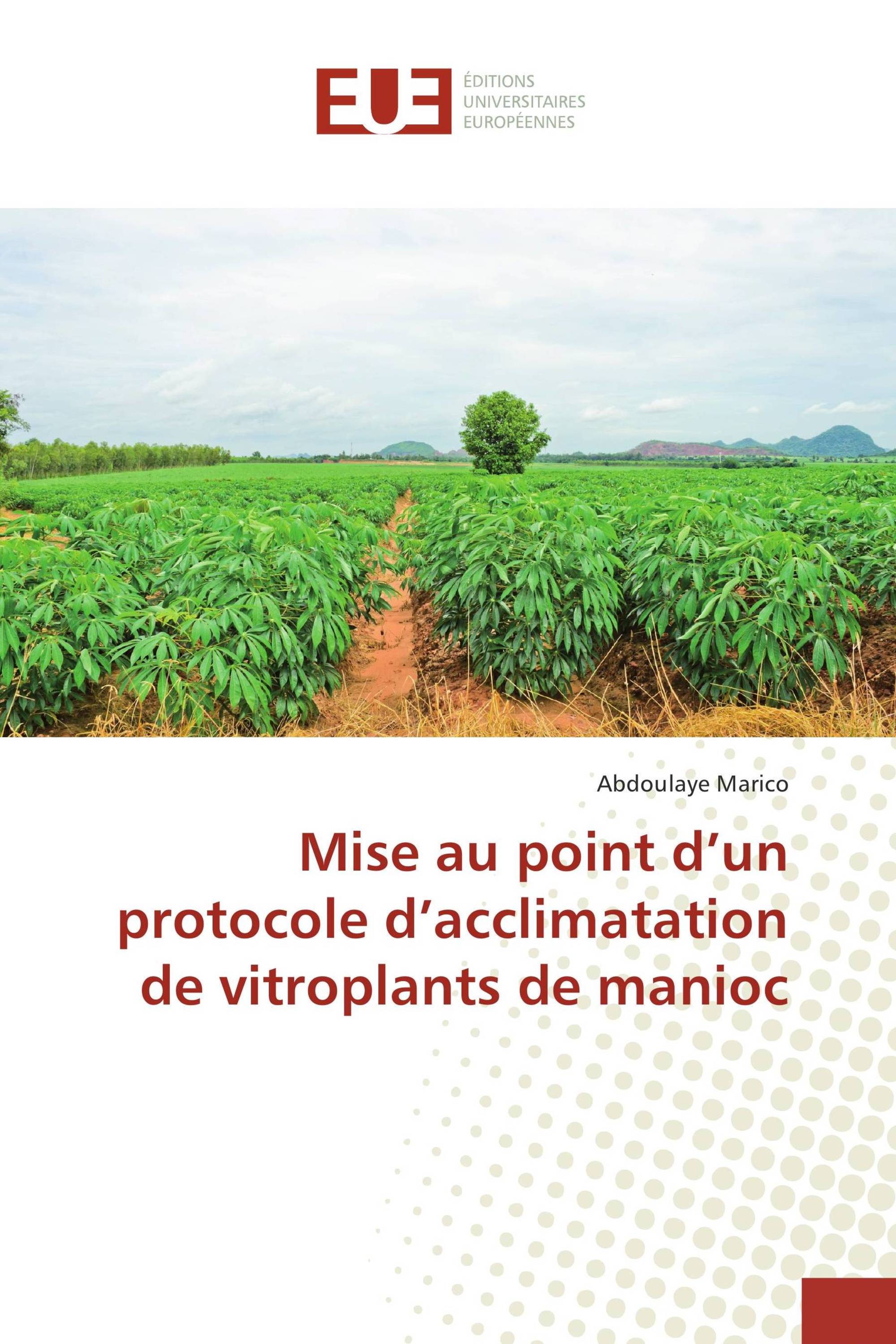 Mise au point d’un protocole d’acclimatation de vitroplants de manioc