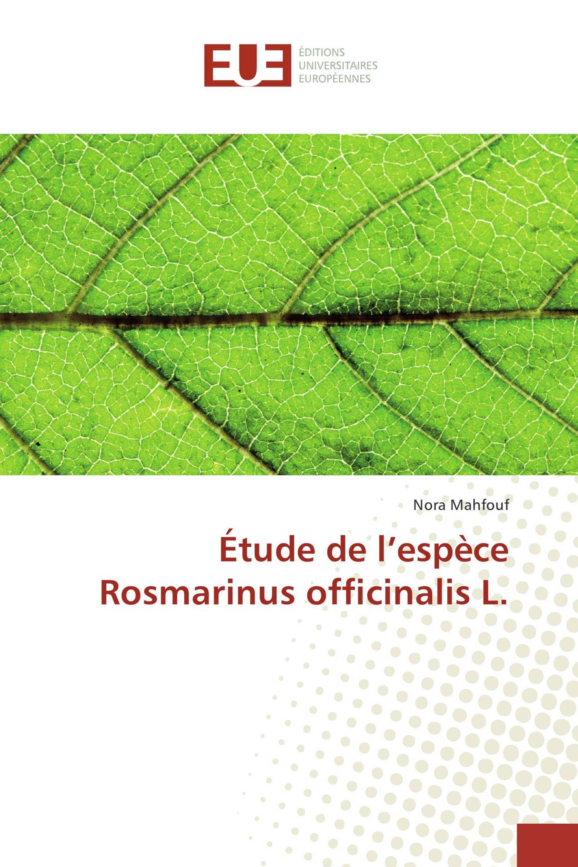 Étude de l’espèce Rosmarinus officinalis L.