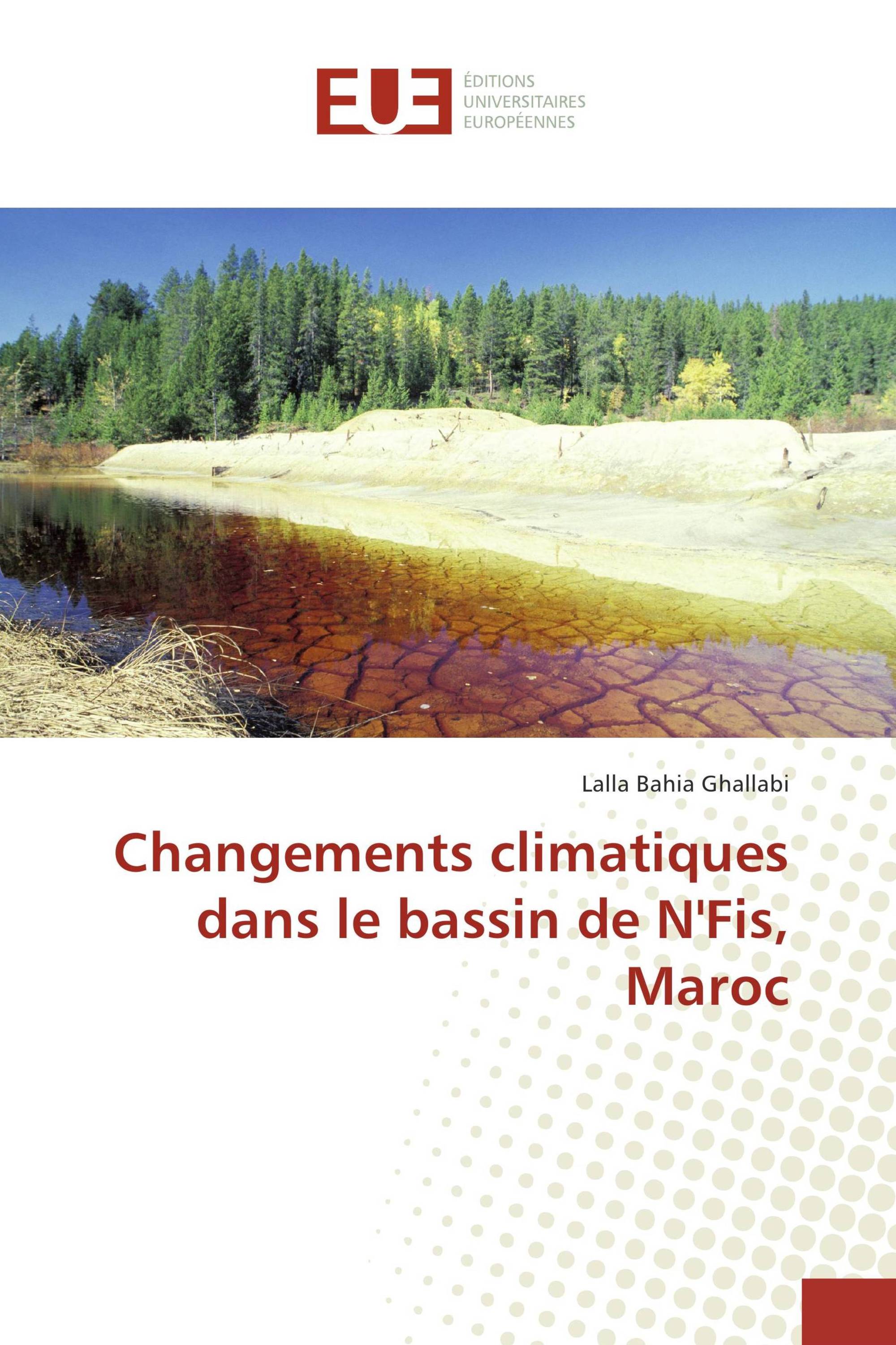 Changements climatiques dans le bassin de N'Fis, Maroc