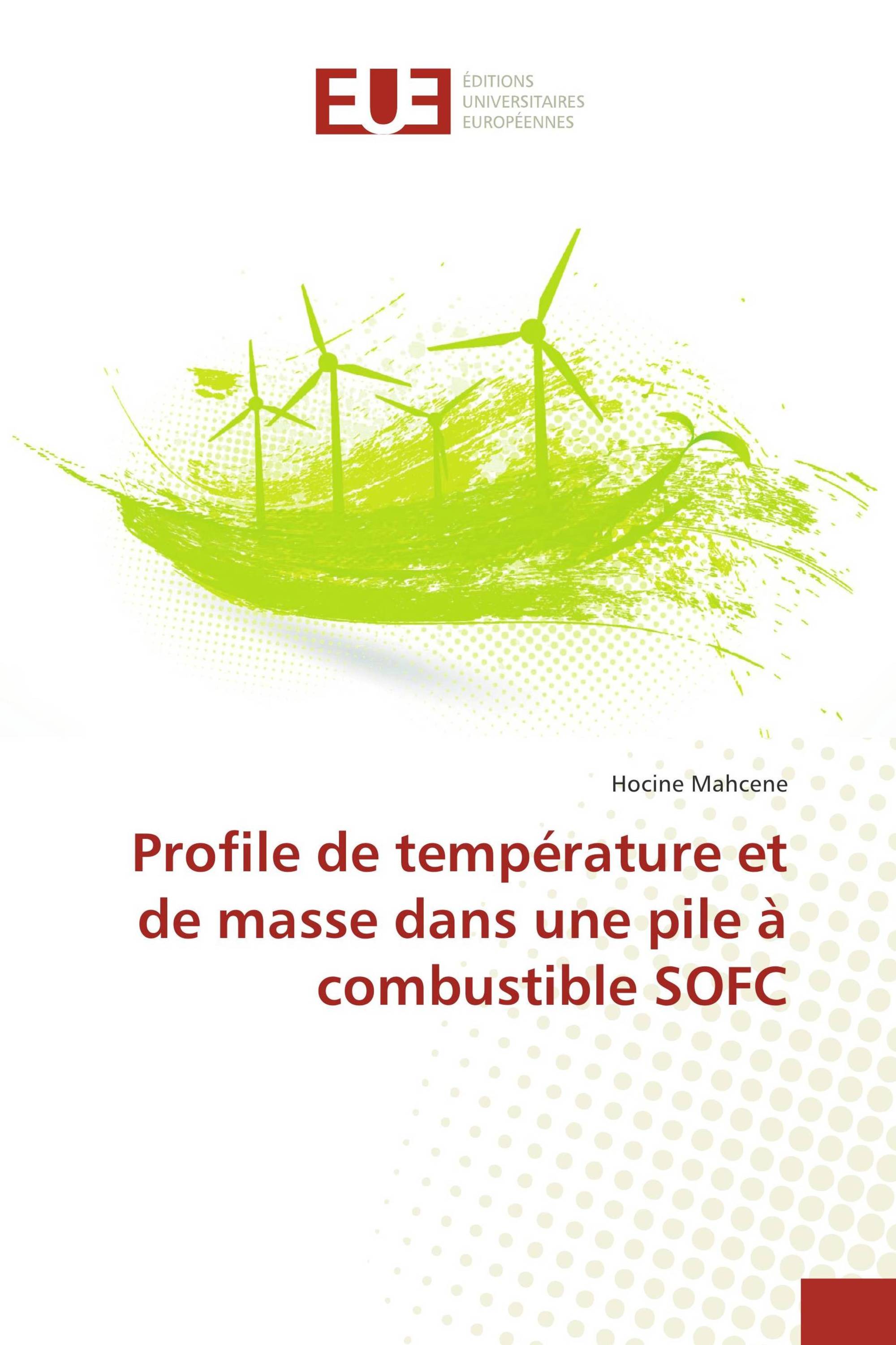 Profile de température et de masse dans une pile à combustible SOFC