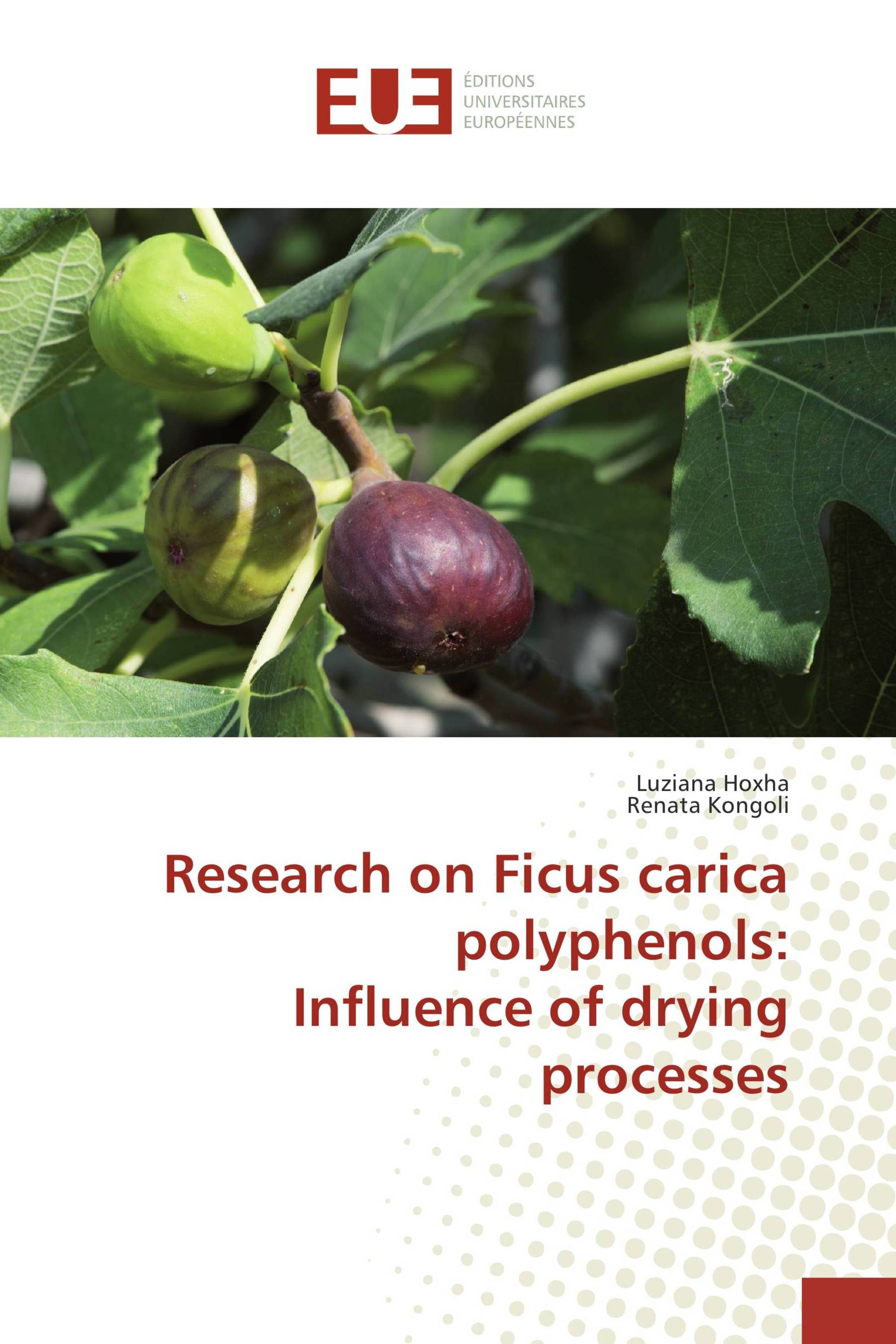 Research on Ficus carica polyphenols: Influence of drying processes