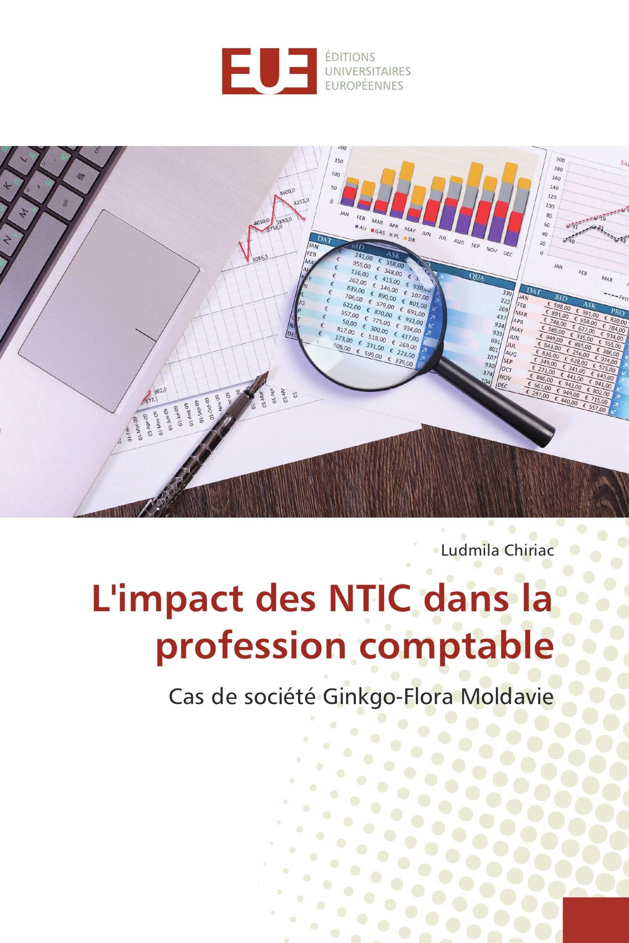 L'impact des NTIC dans la profession comptable