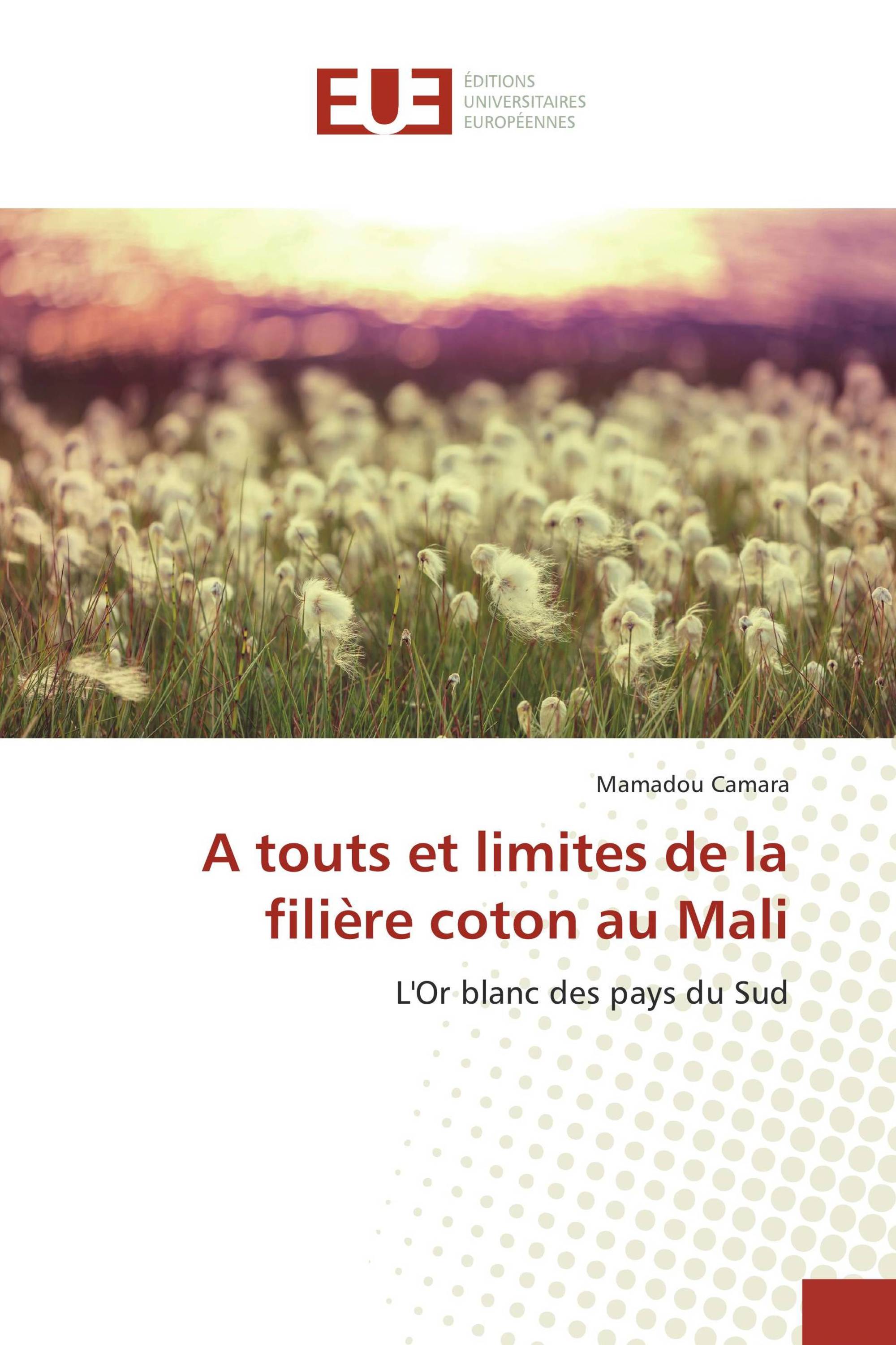 A touts et limites de la filière coton au Mali